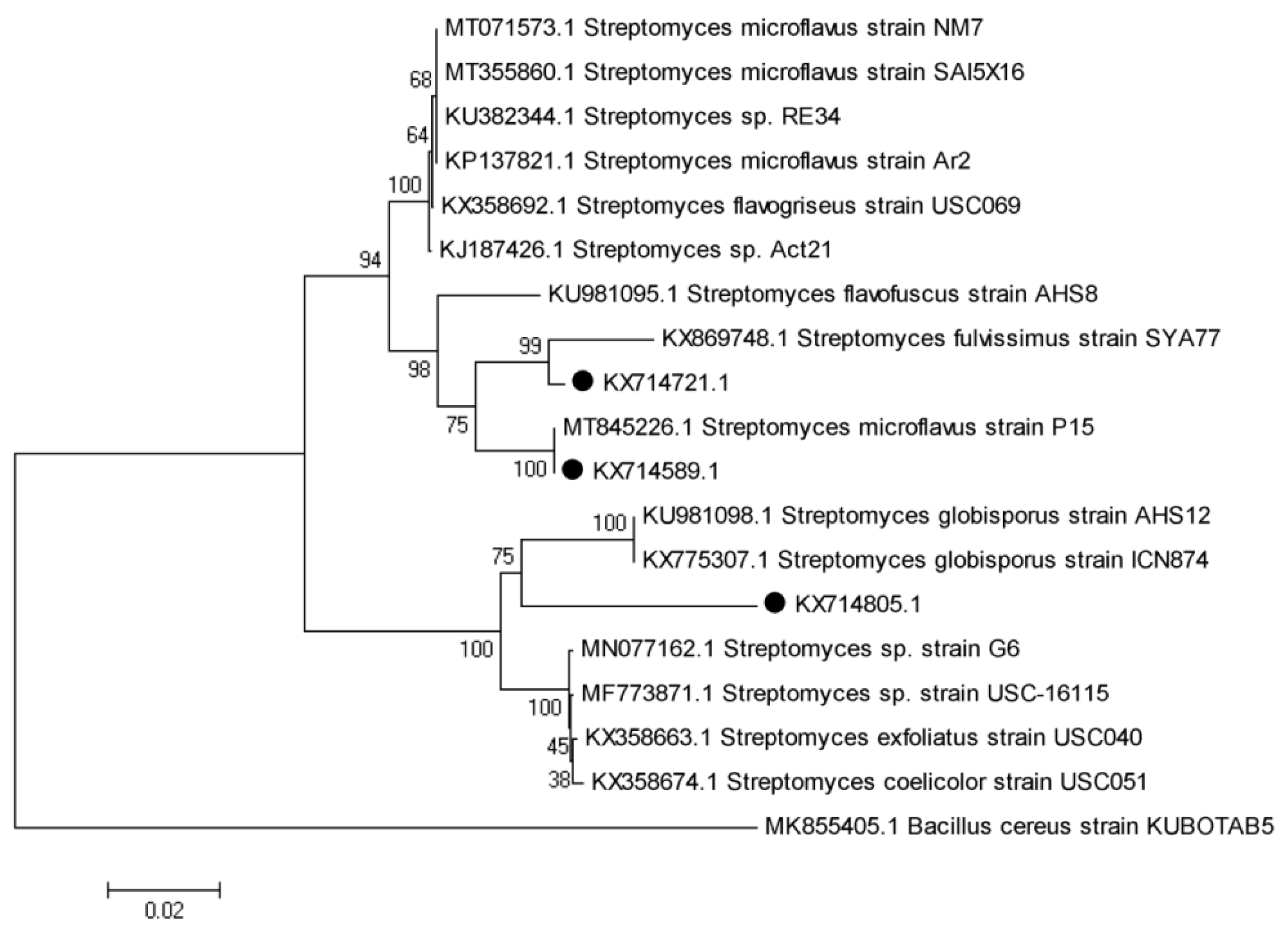 Agronomy 12 02292 g011 Agronomy 12 02292 g011