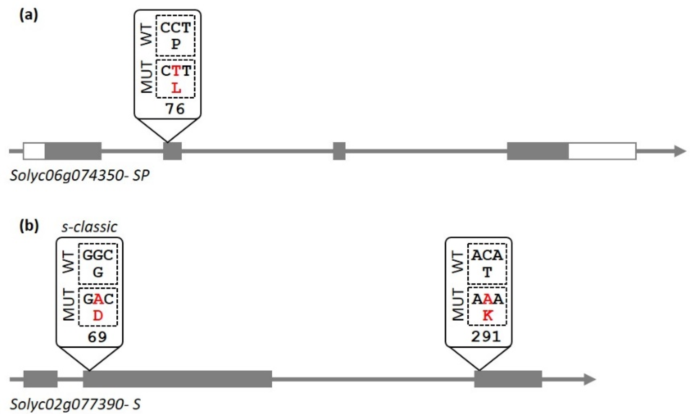 Agronomy 12 02312 g001 Agronomy 12 02312 g001