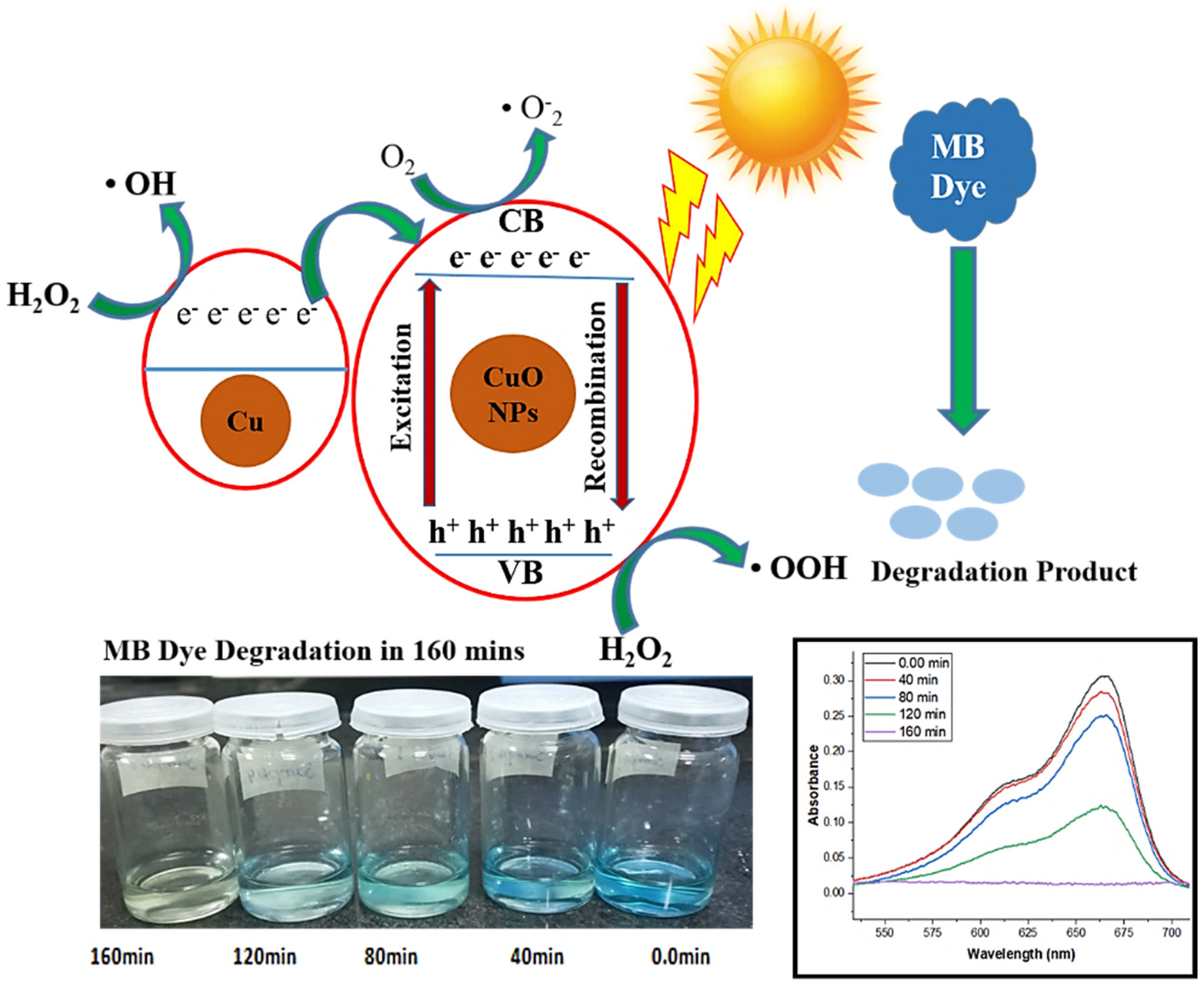 Agronomy 12 02315 g011