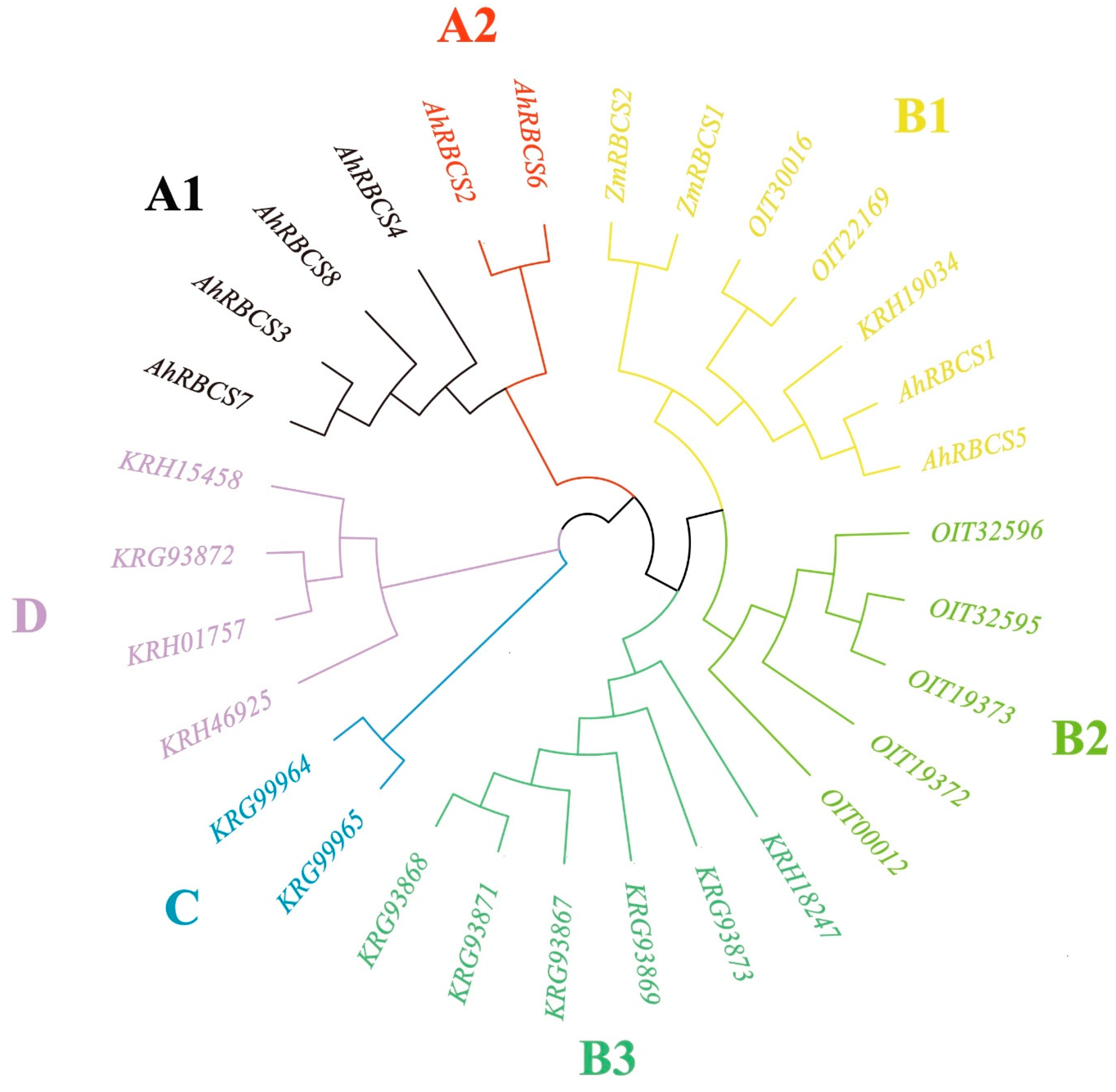 Agronomy 12 02316 g001