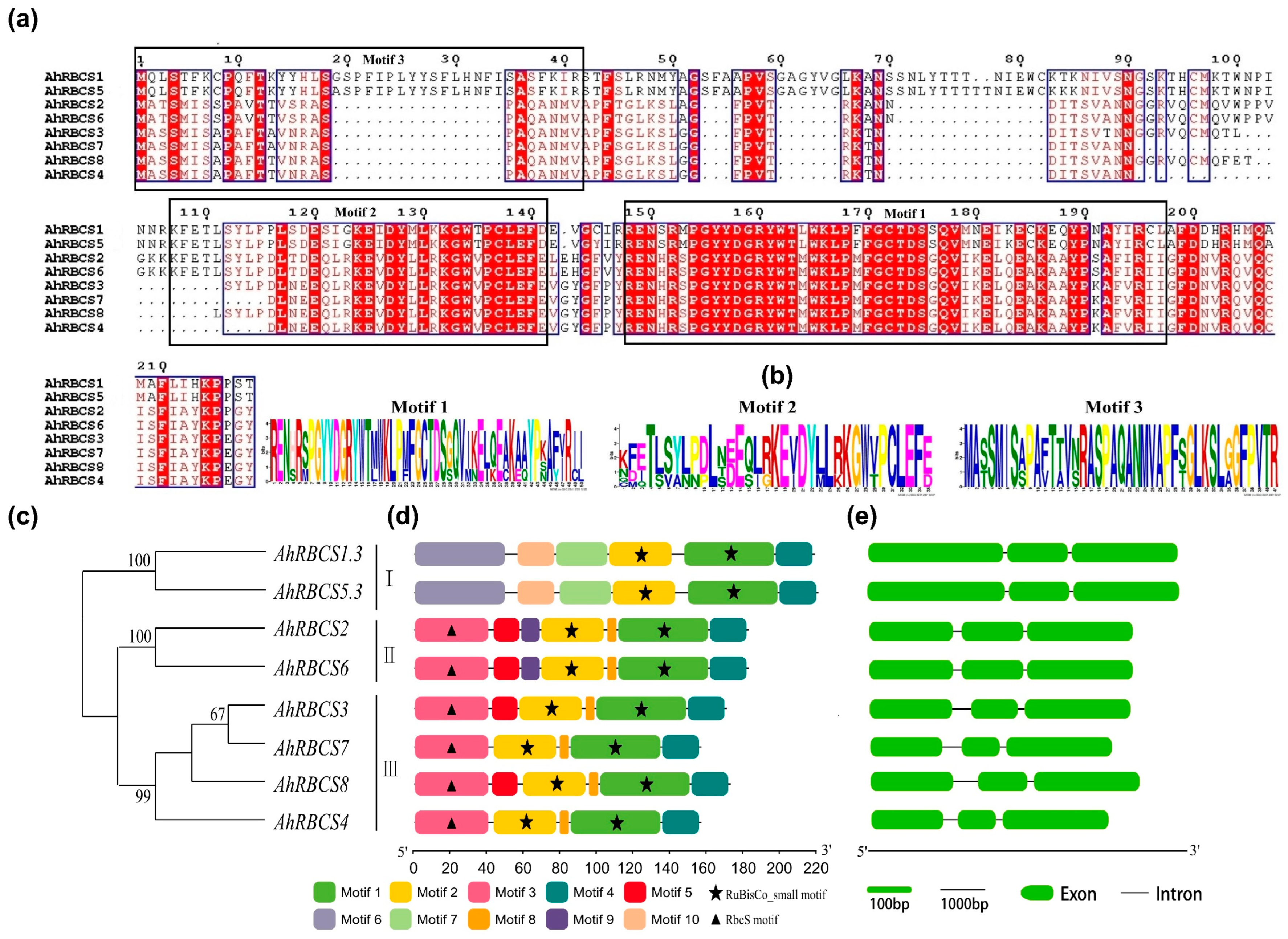 Agronomy 12 02316 g002