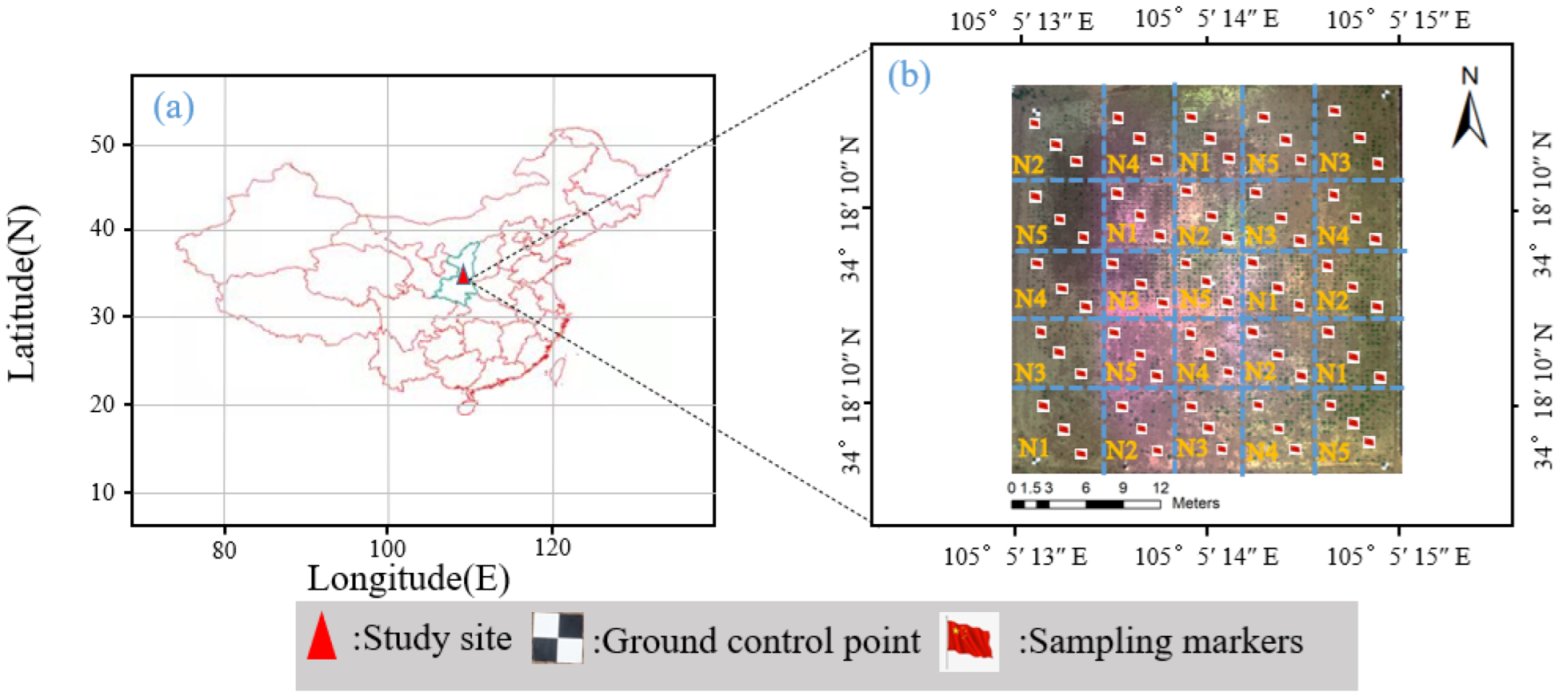 Agronomy 12 02318 g001