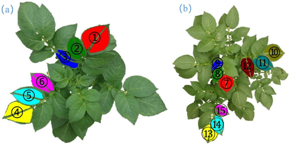 Agronomy 12 02318 g002