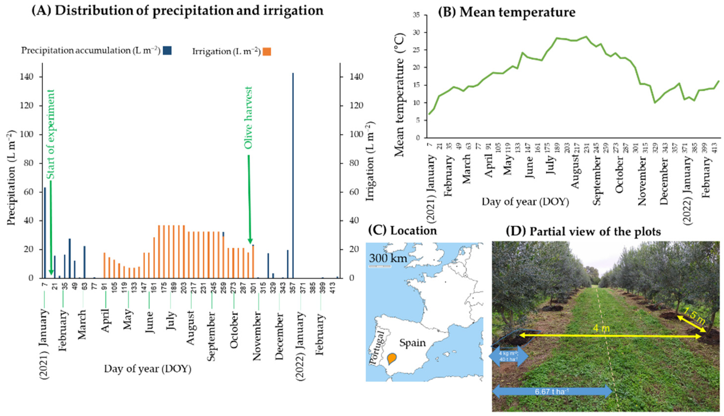 Agronomy 12 02321 g001