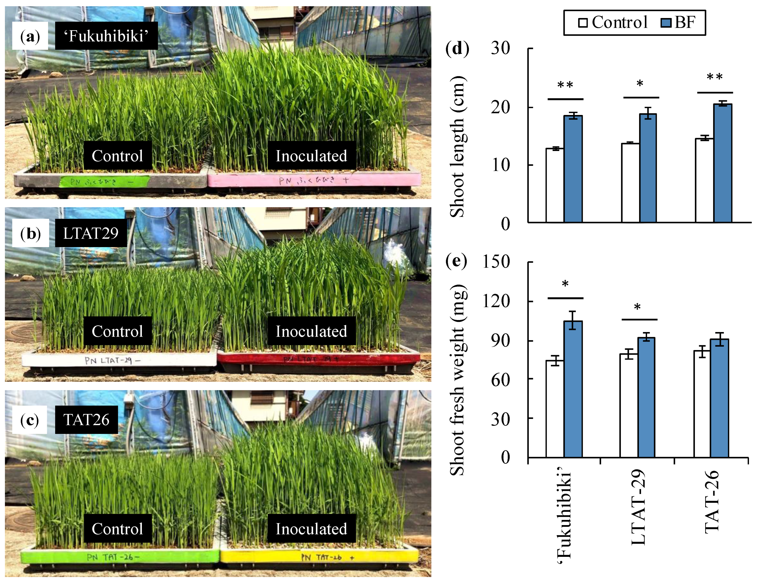 Agronomy 12 02325 g002