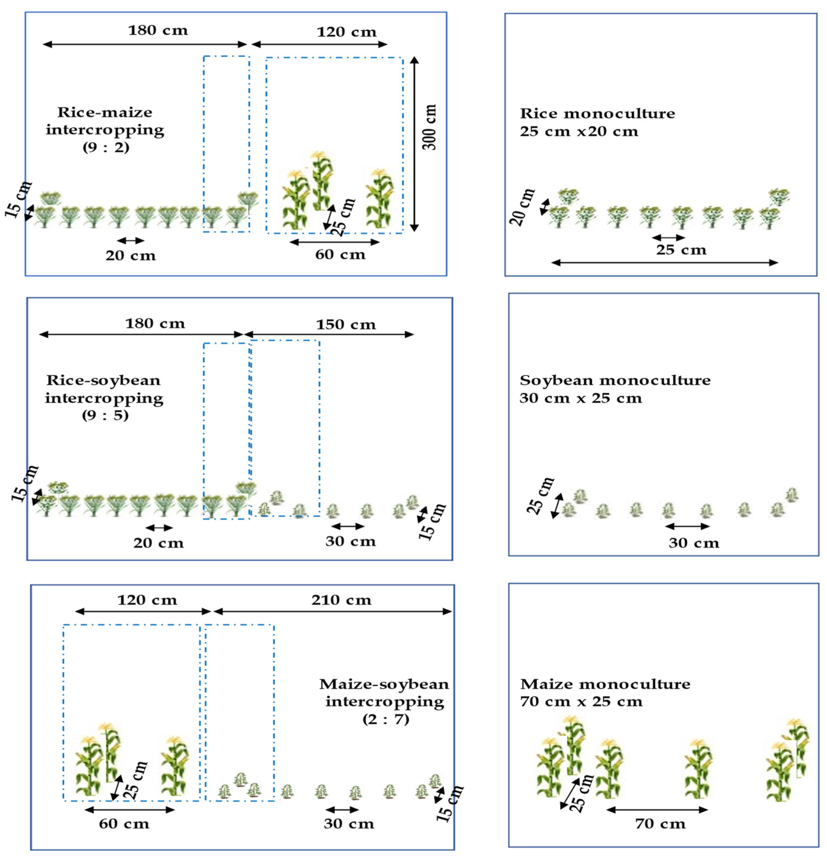 Agronomy 12 02326 g003 550