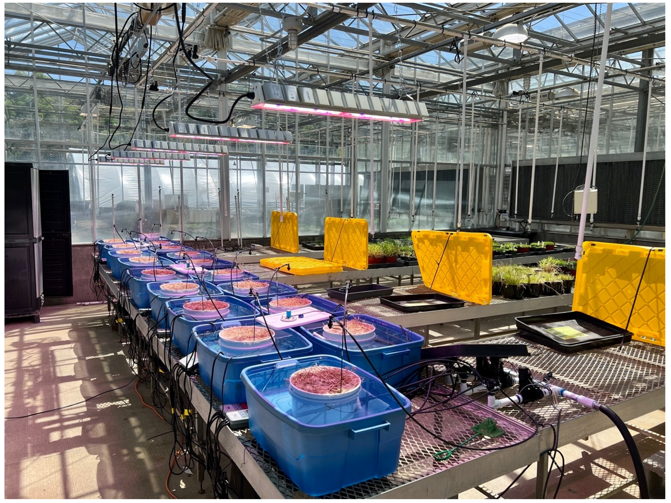 Agronomy 12 02329 g001