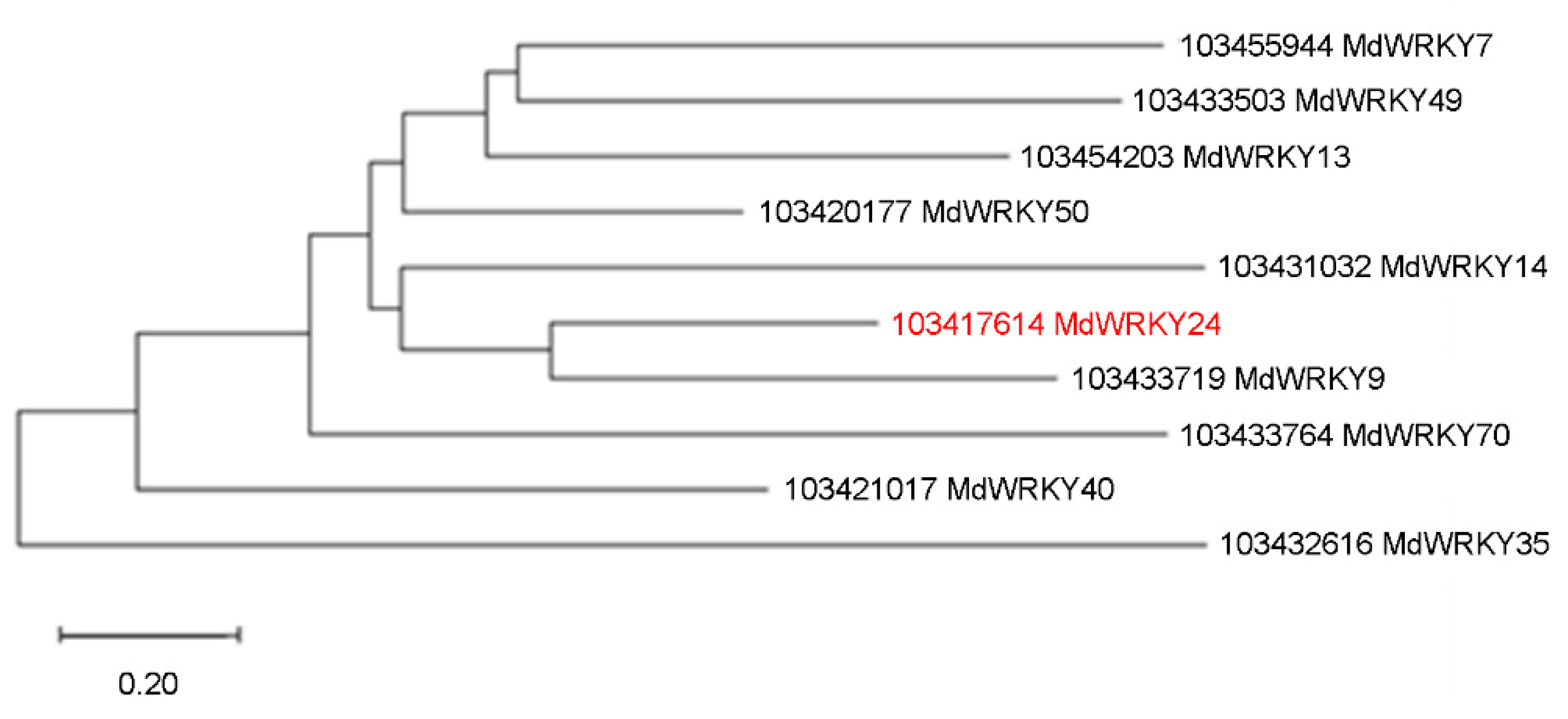 Agronomy 12 02345 g003