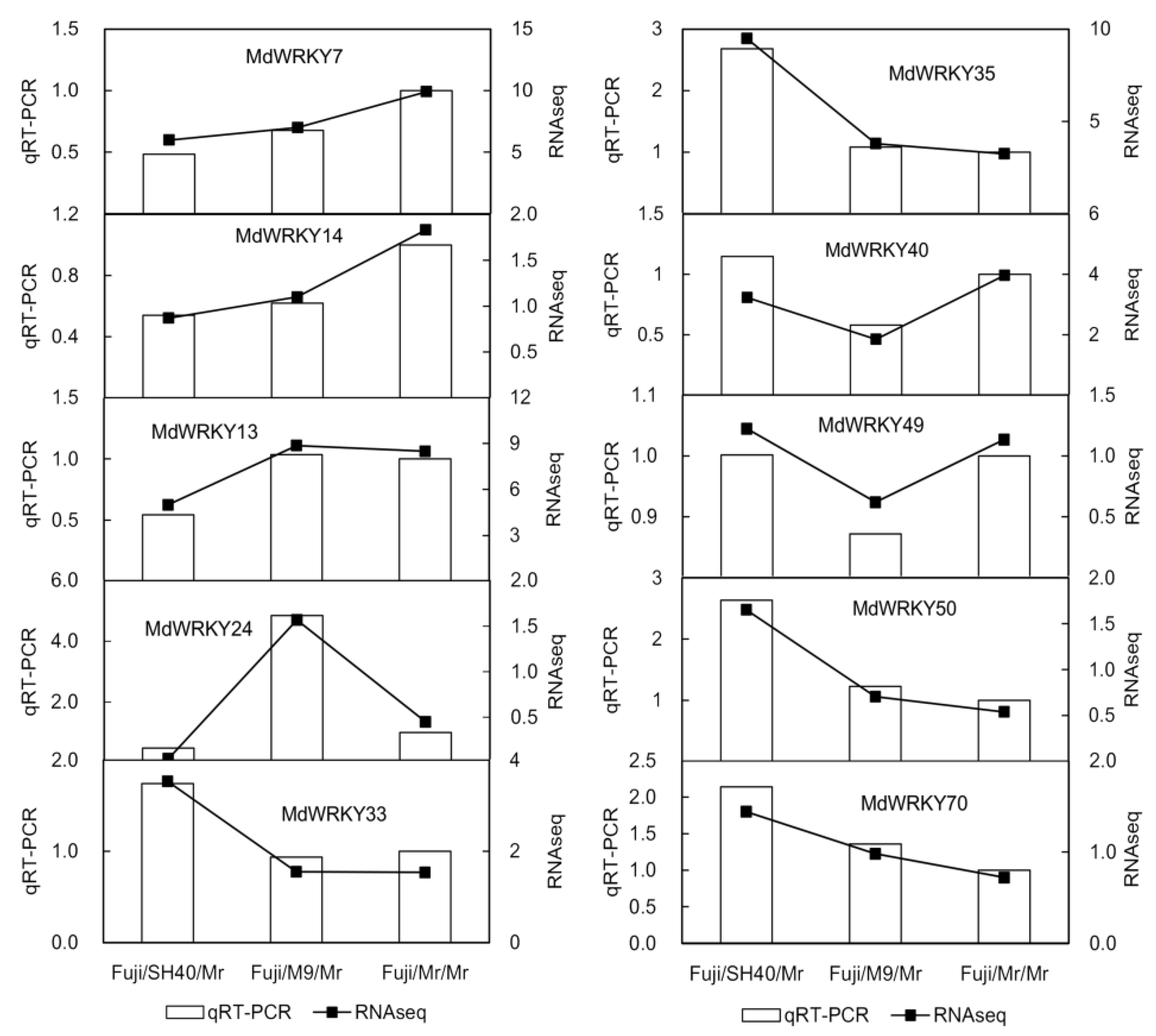 Agronomy 12 02345 g004