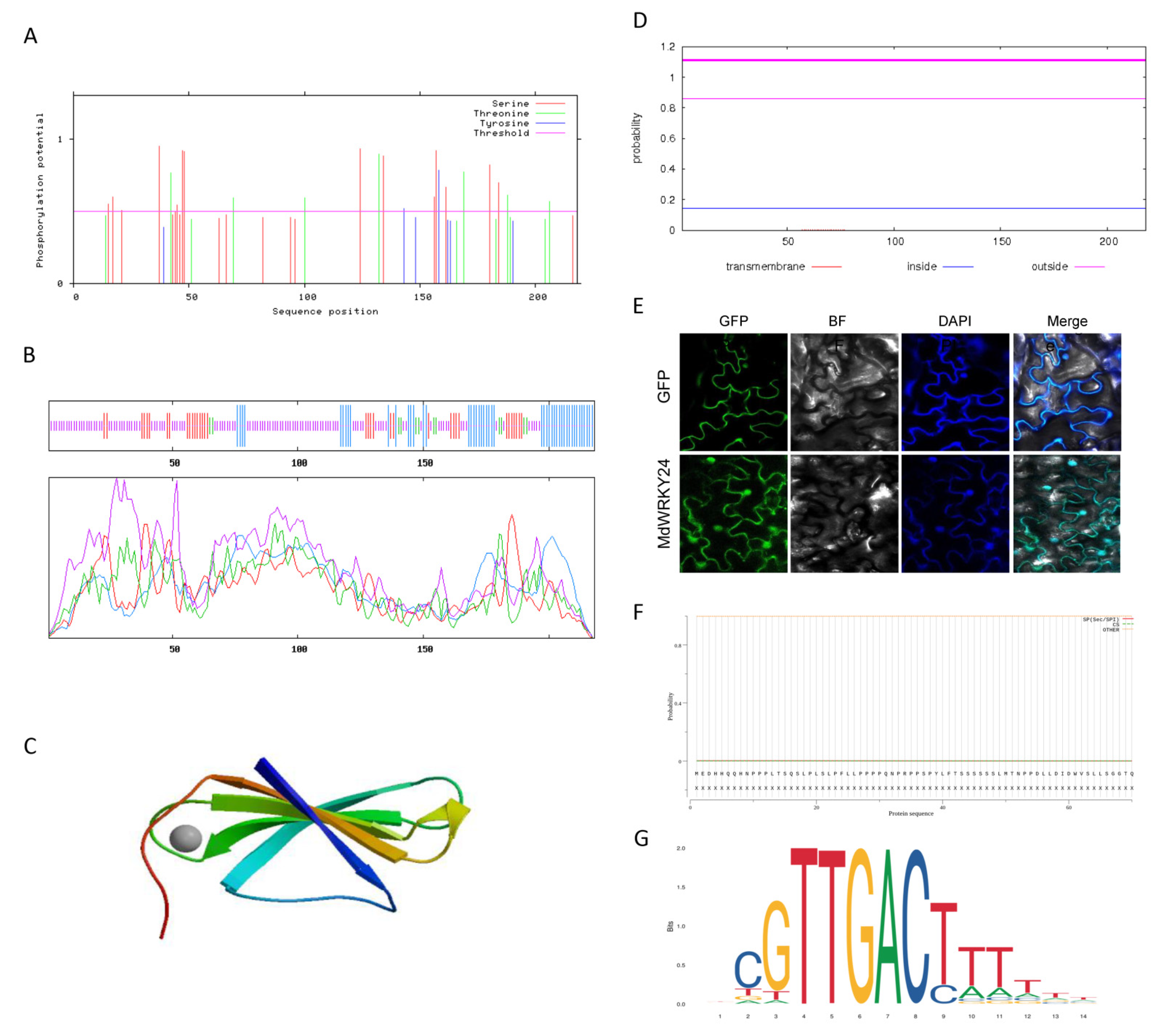 Agronomy 12 02345 g005