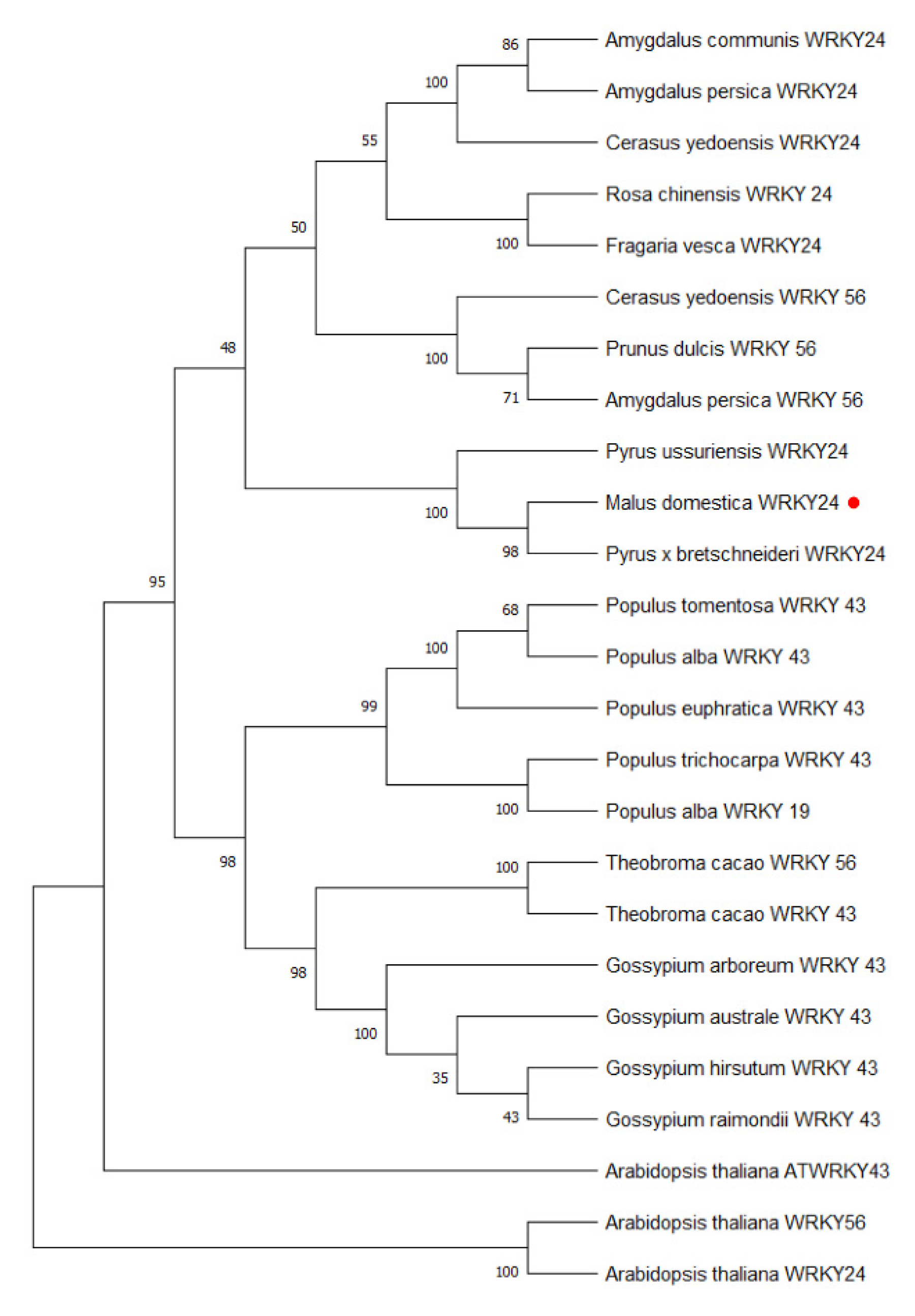 Agronomy 12 02345 g006