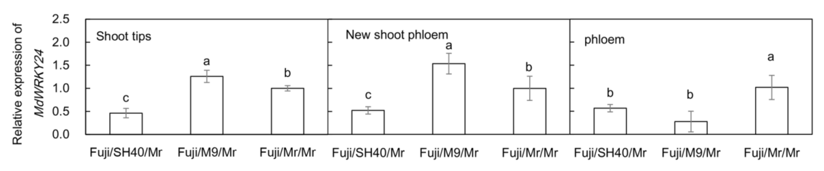 Agronomy 12 02345 g007
