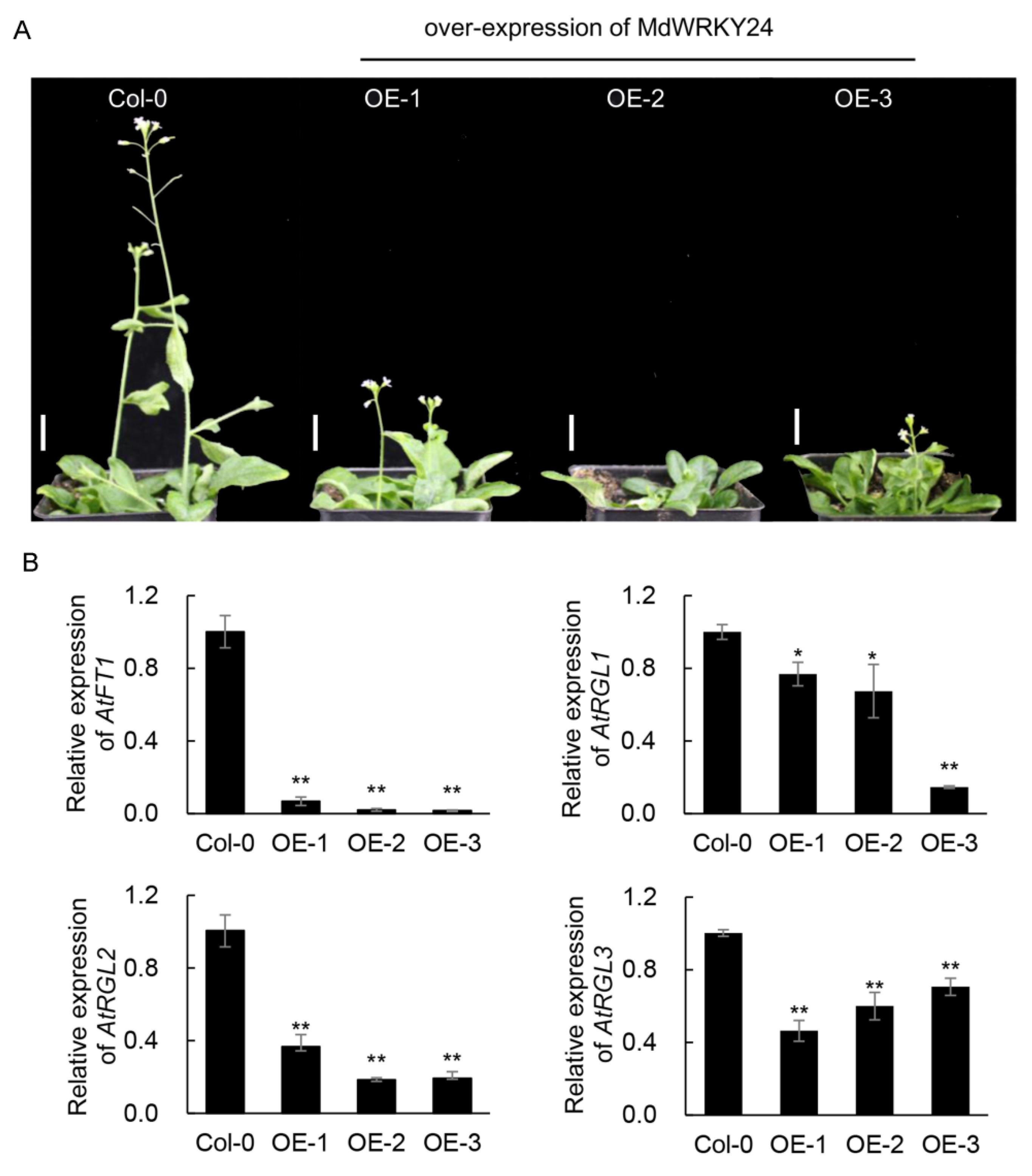 Agronomy 12 02345 g008