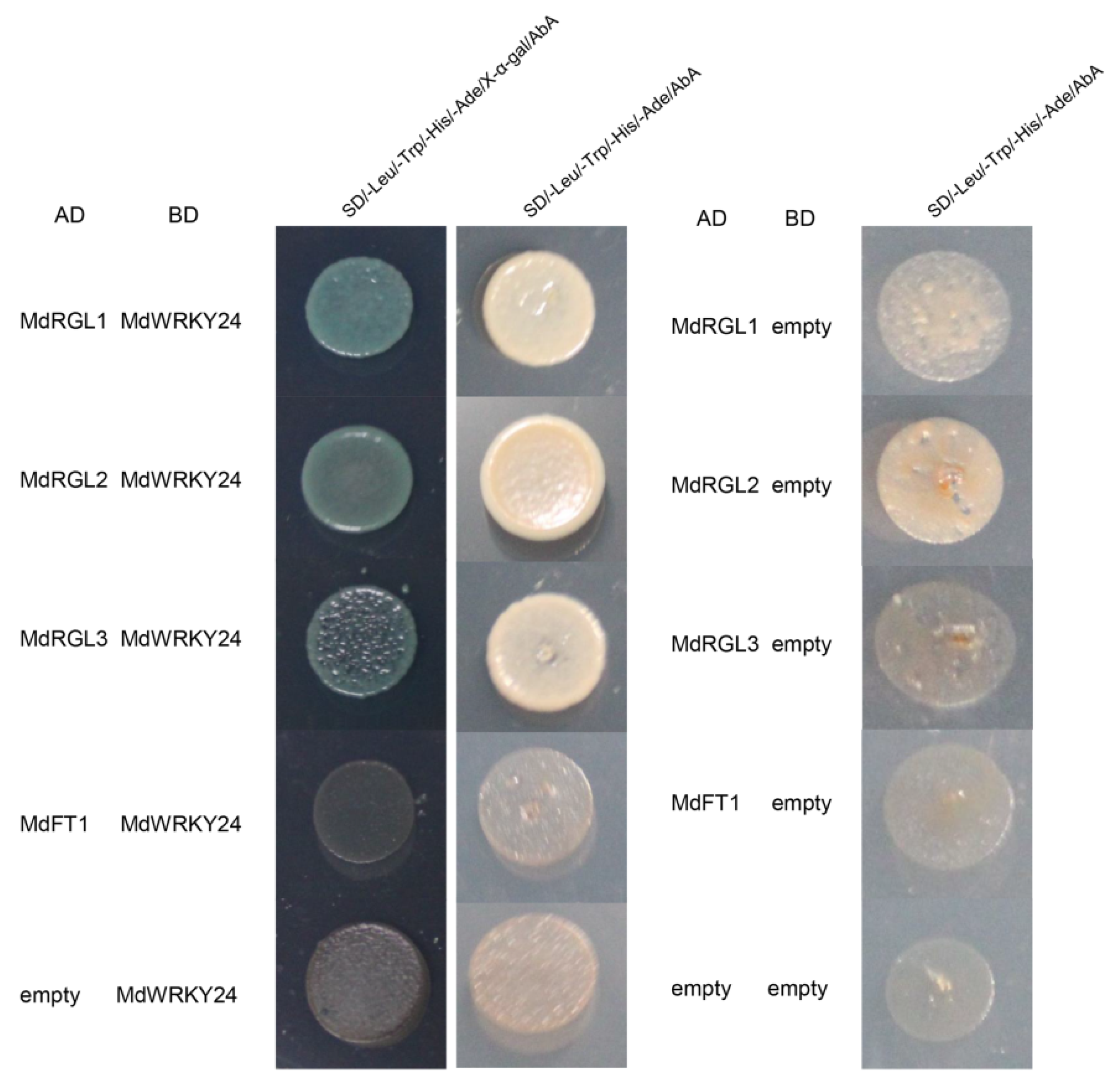 Agronomy 12 02345 g009