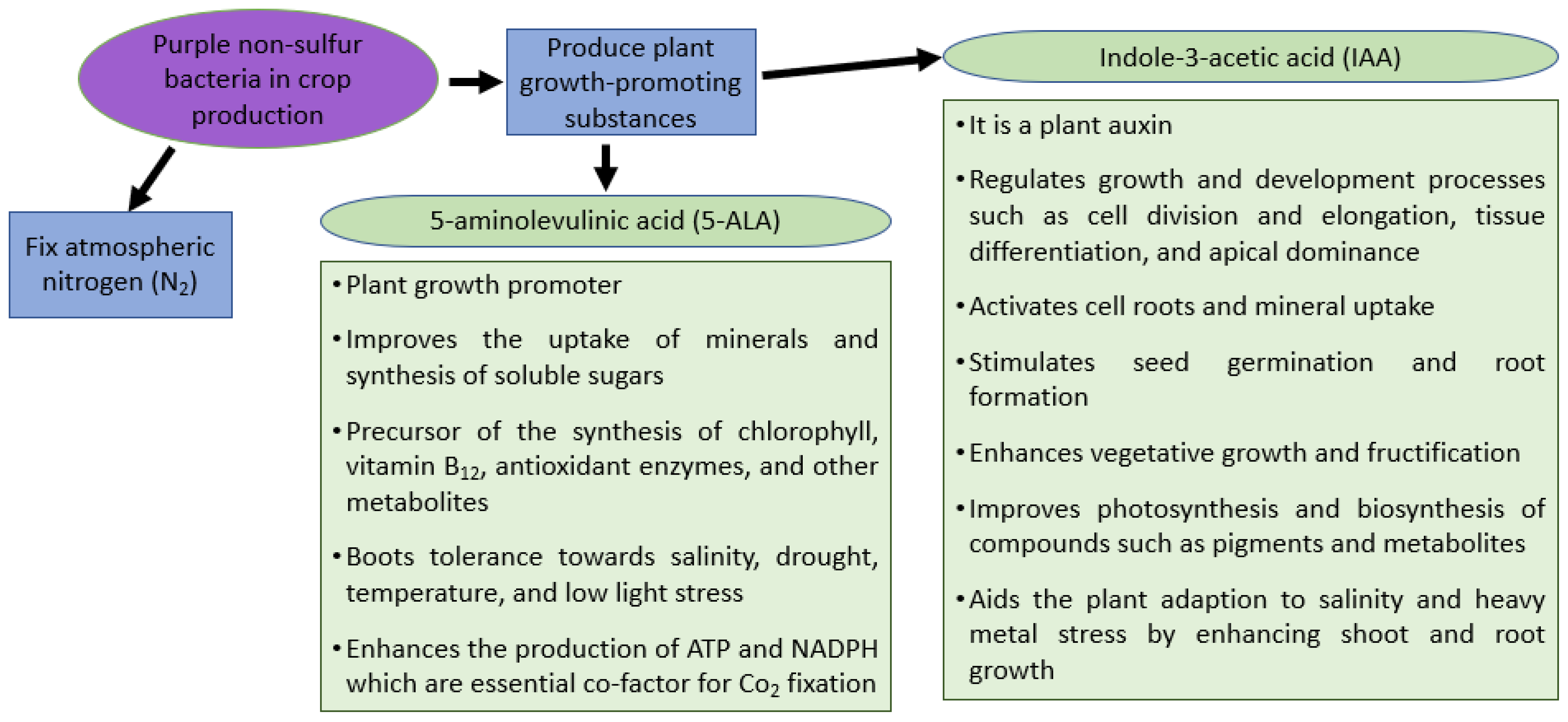 atmosphere Glycosylation Pathways Targeted by Deregulated miRNAs in