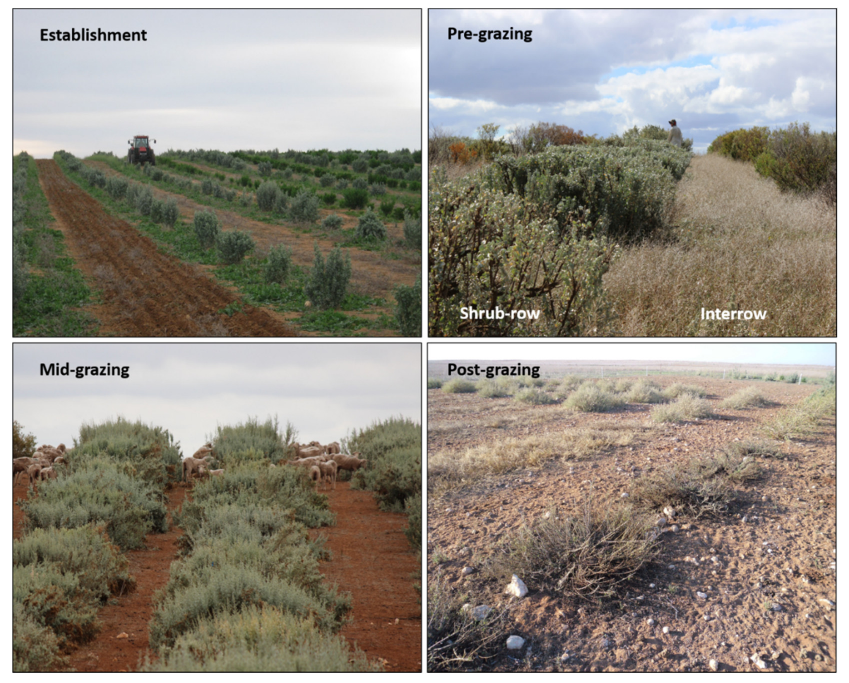 Agronomy 12 02348 g001