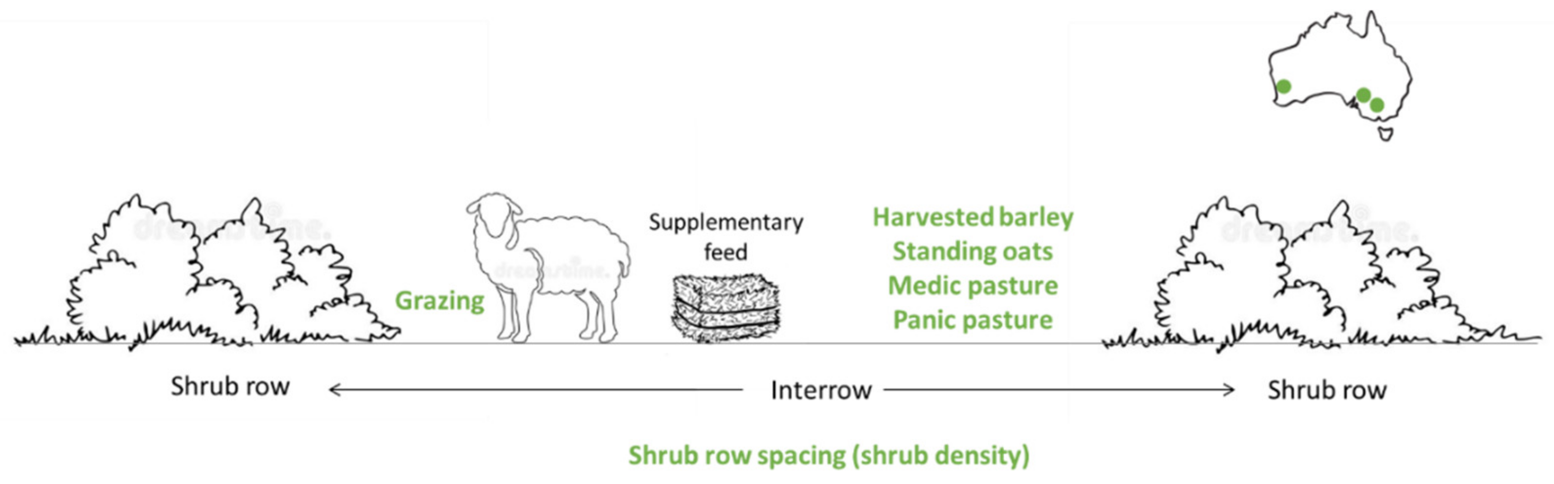 Agronomy 12 02348 g002