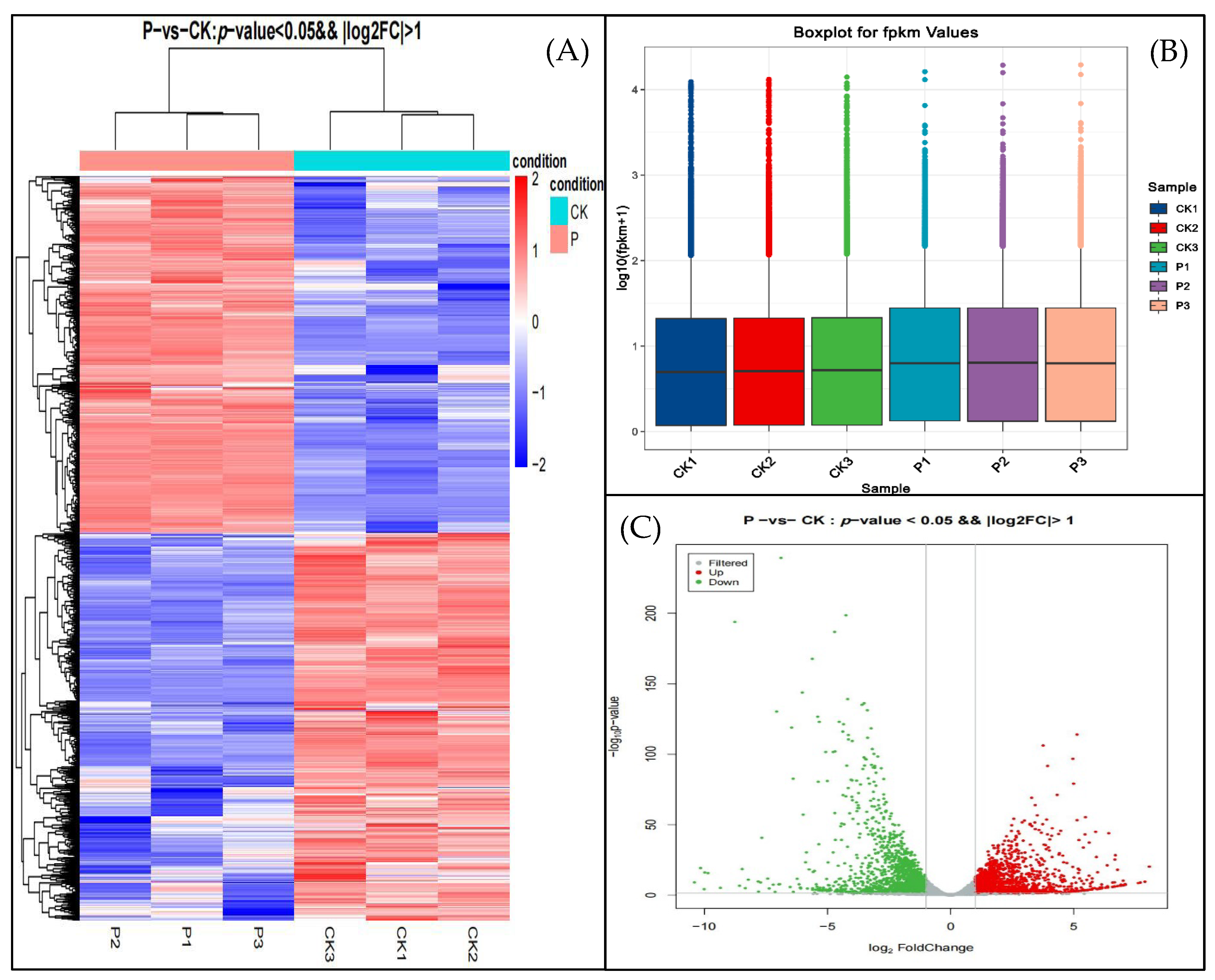 Agronomy 12 02353 g005