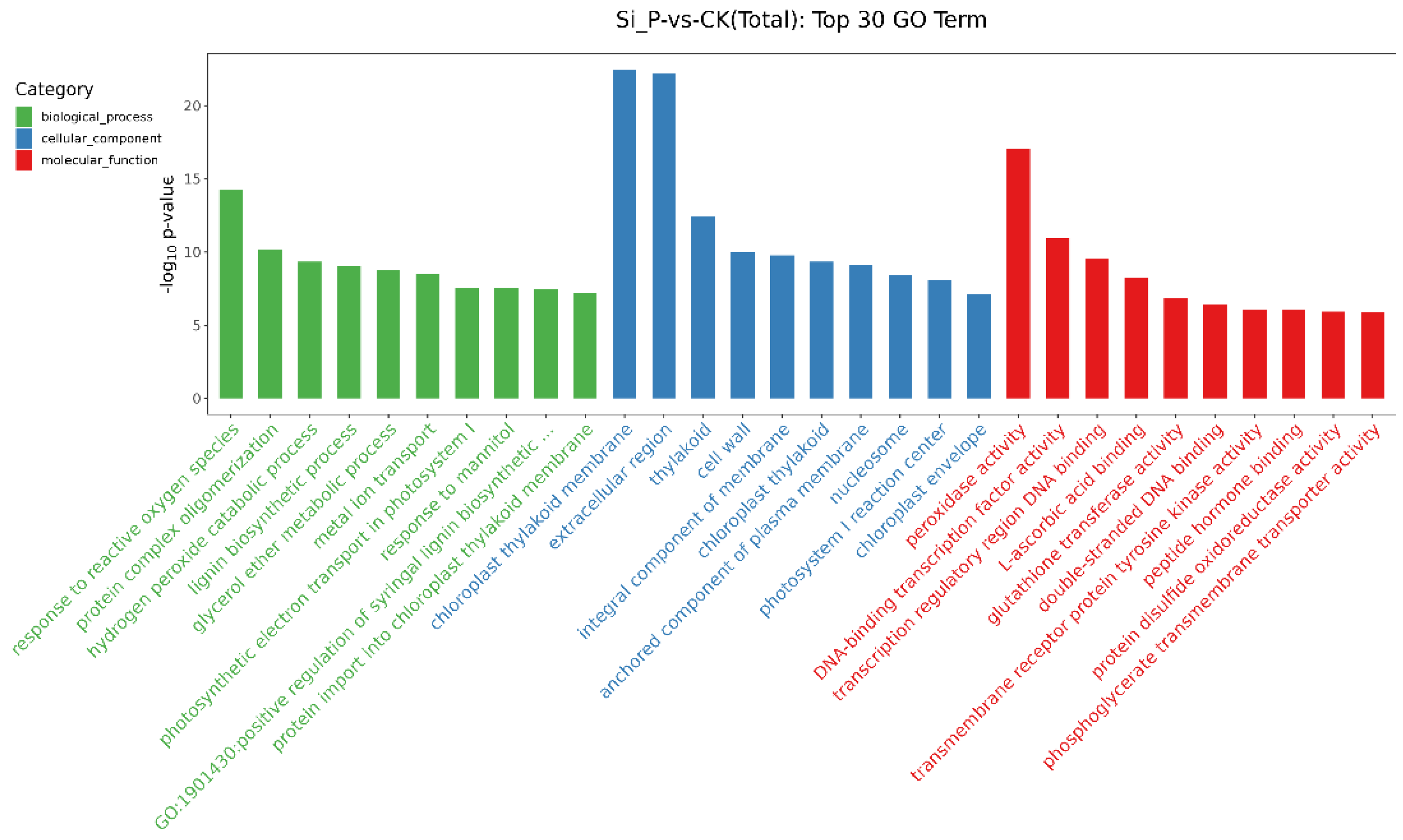 Agronomy 12 02353 g007