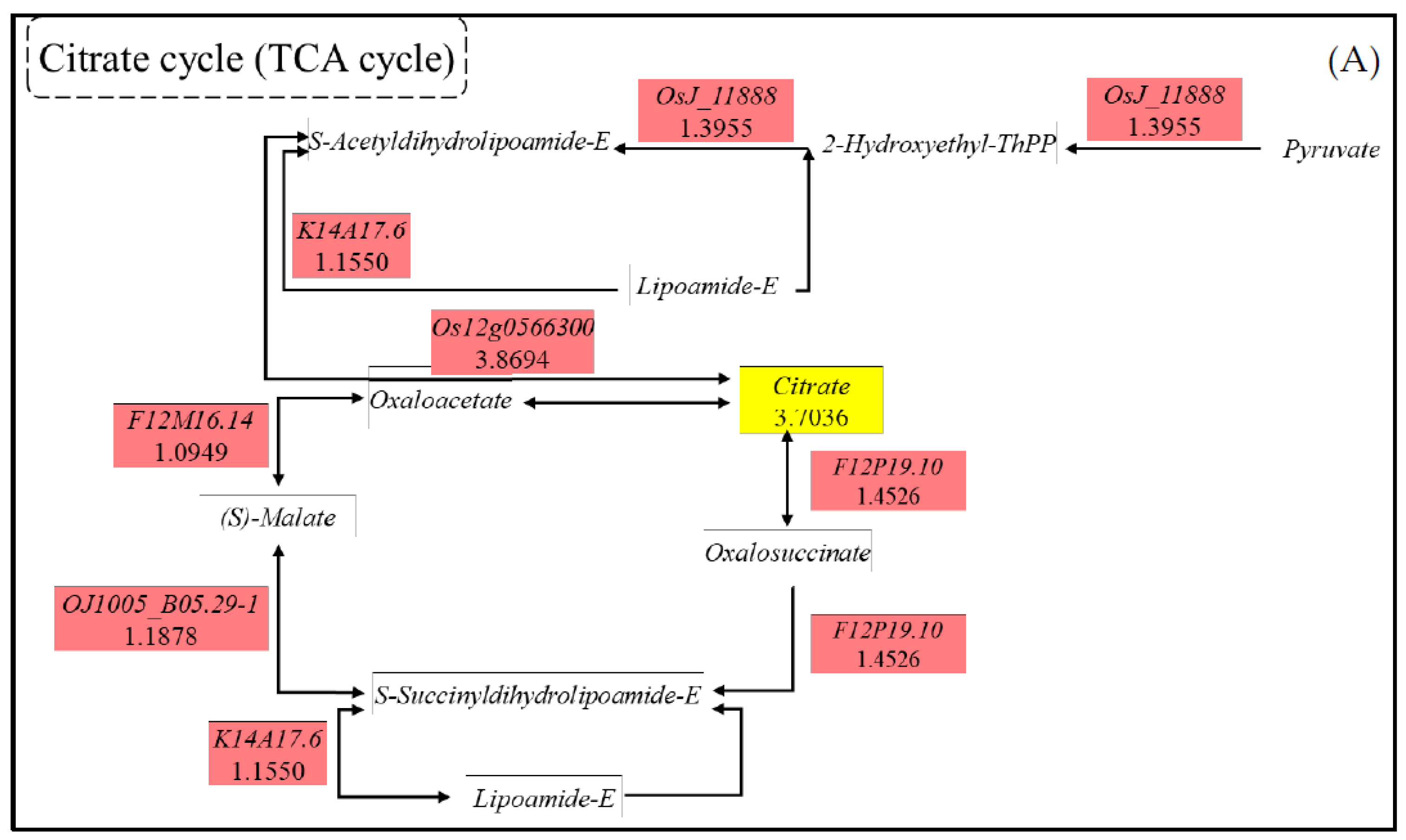 Agronomy 12 02353 g010a