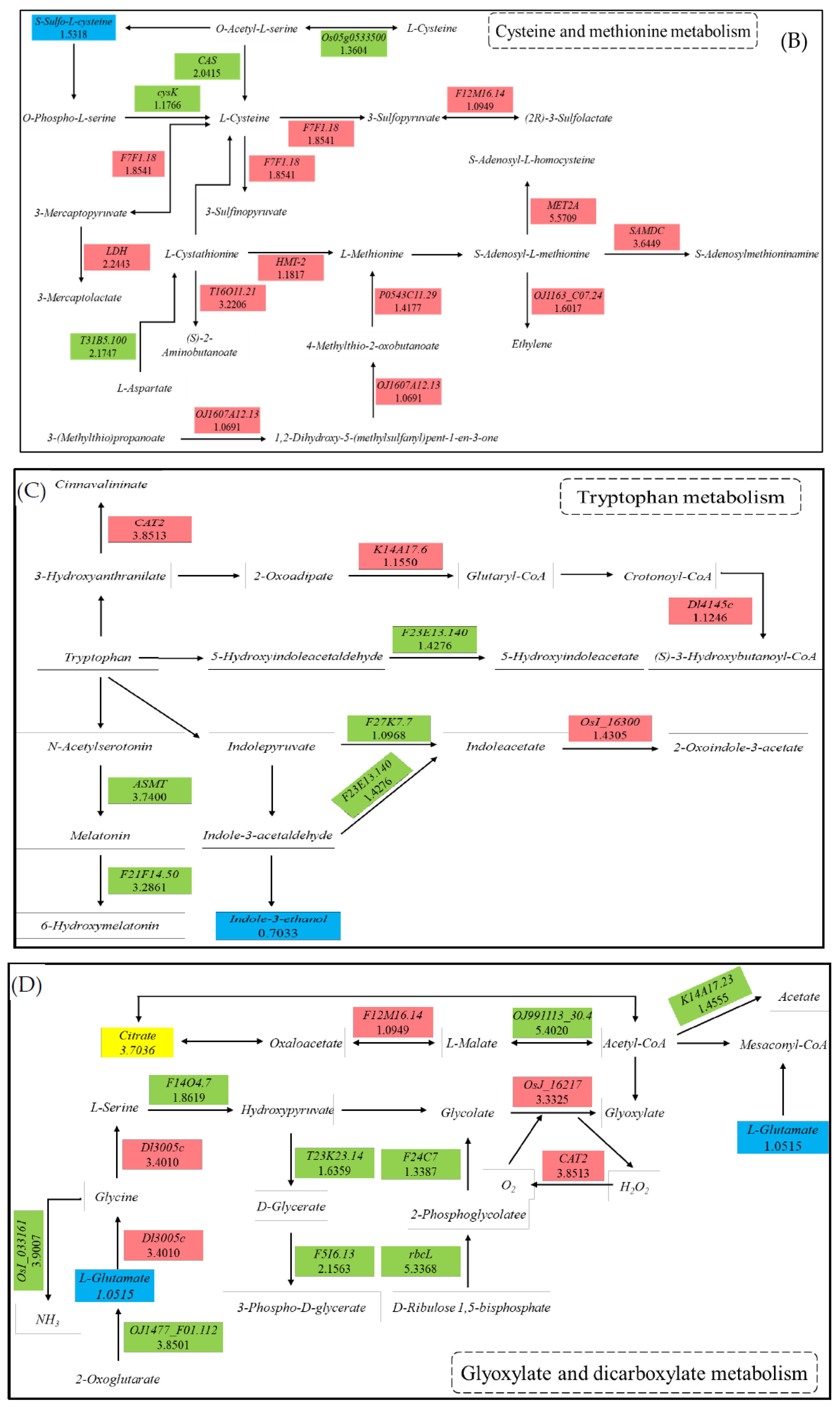 Agronomy 12 02353 g010b