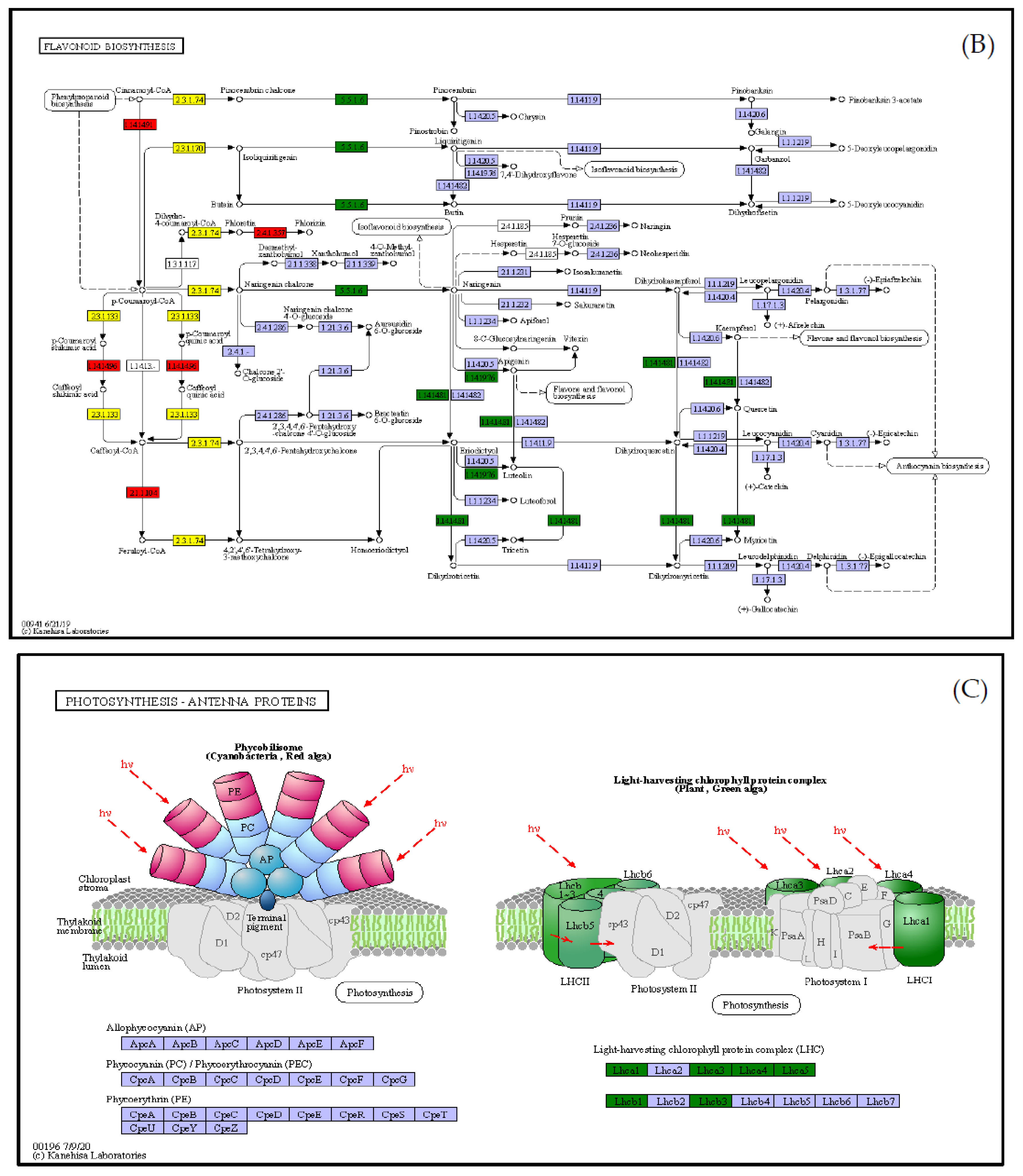 Agronomy 12 02353 g011b