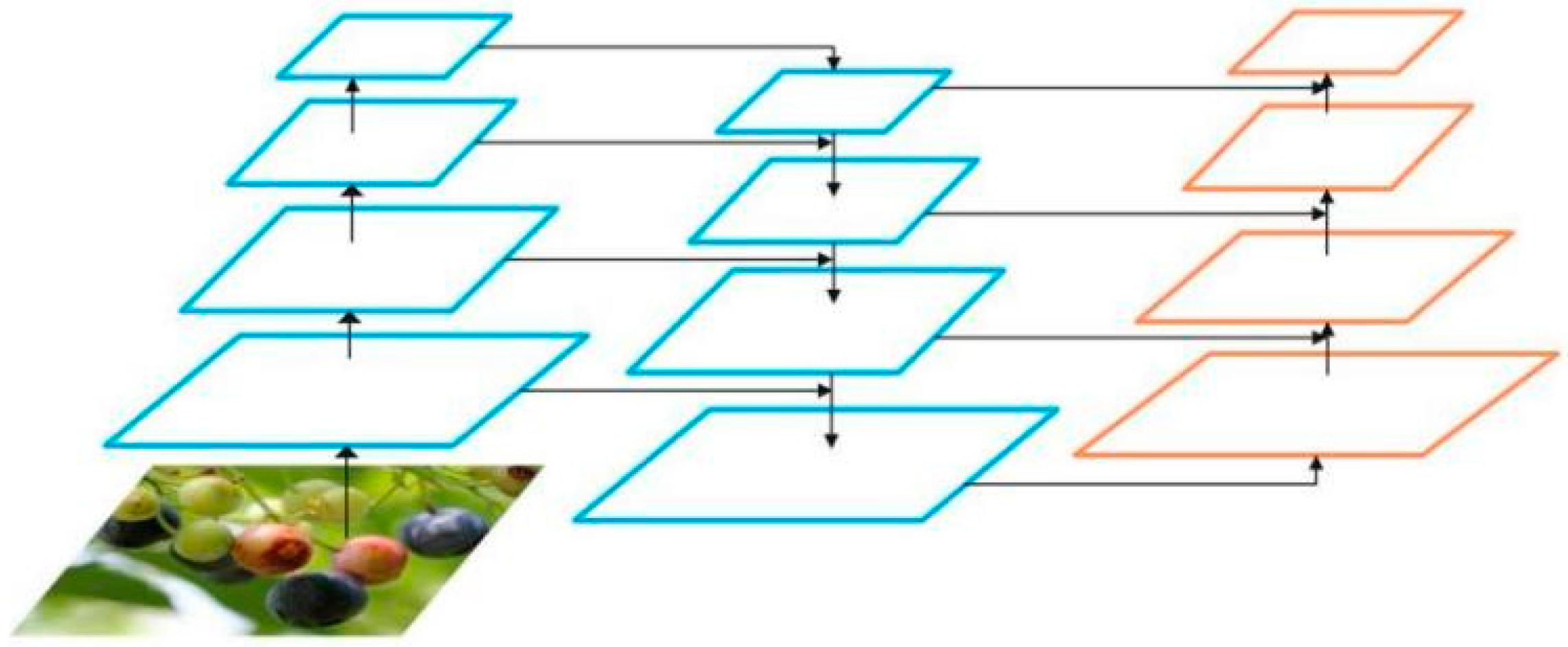 Agronomy 12 02354 g006 550