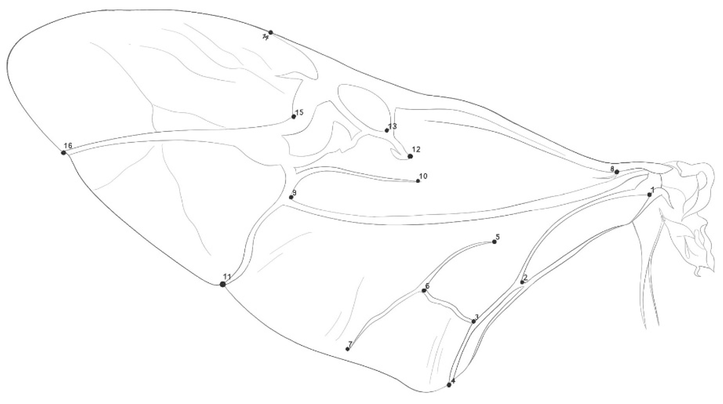 Agronomy 12 02361 g002