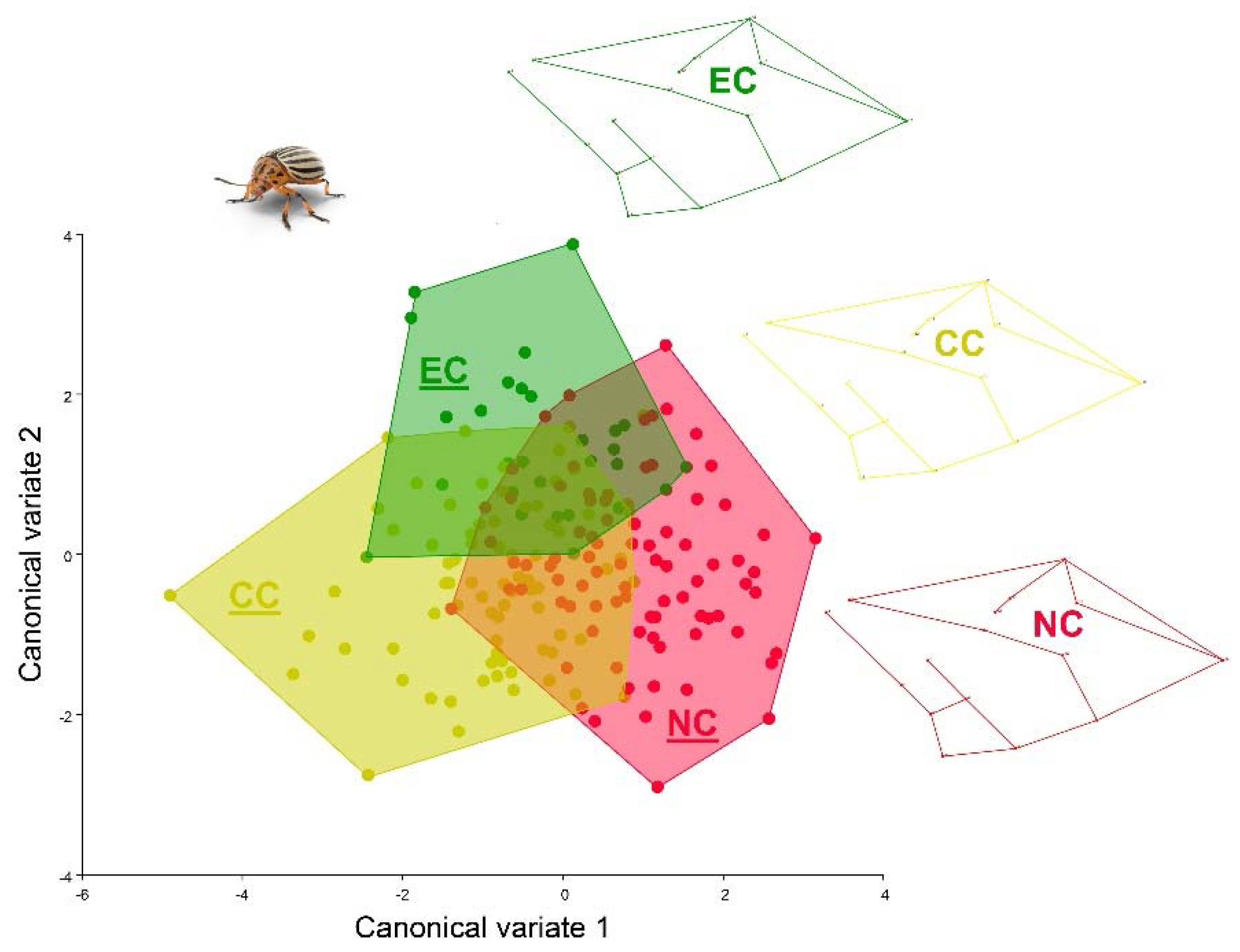 Agronomy 12 02361 g008