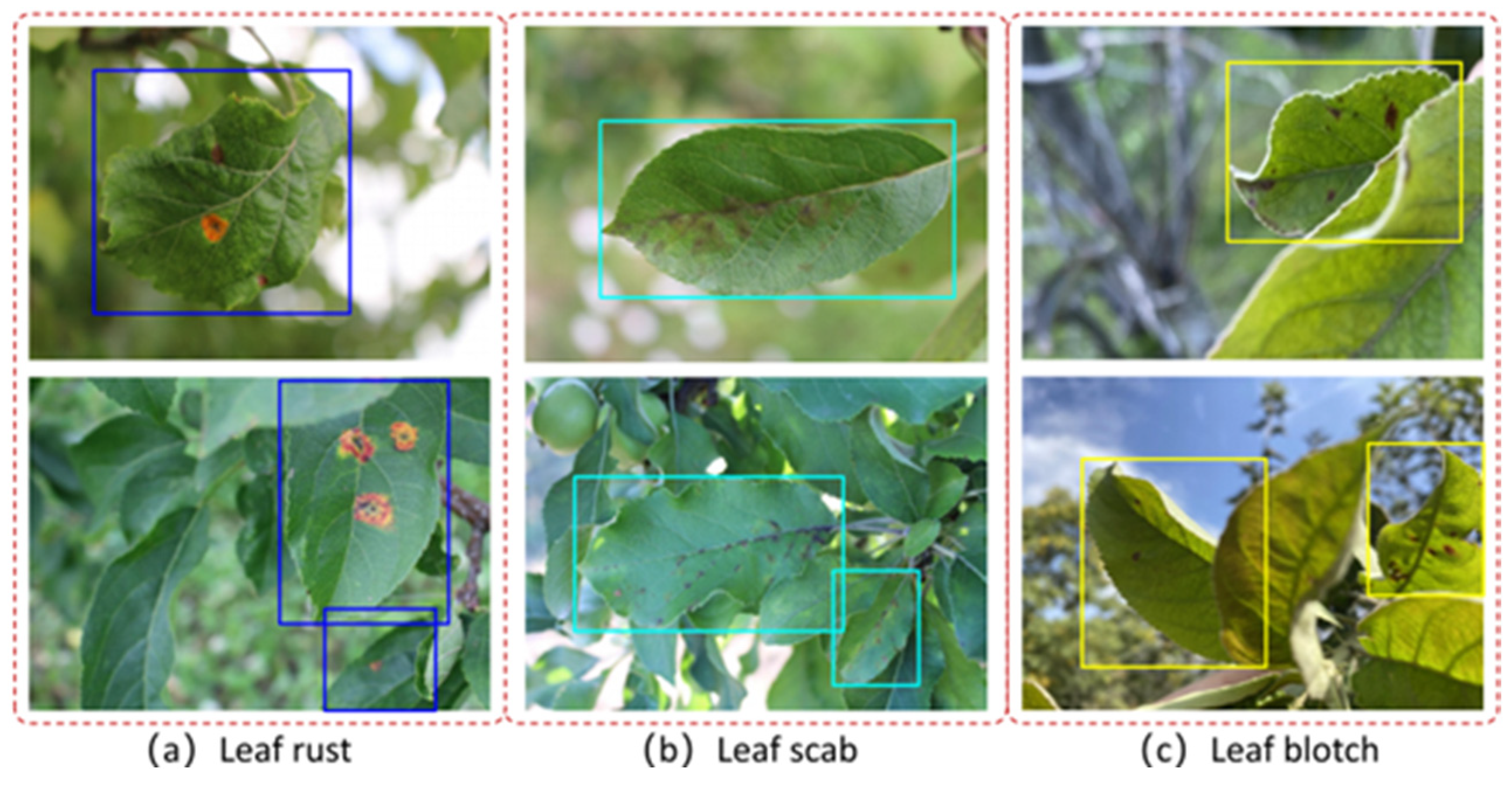 Agronomy 12 02363 g001 Agronomy 12 02363 g001