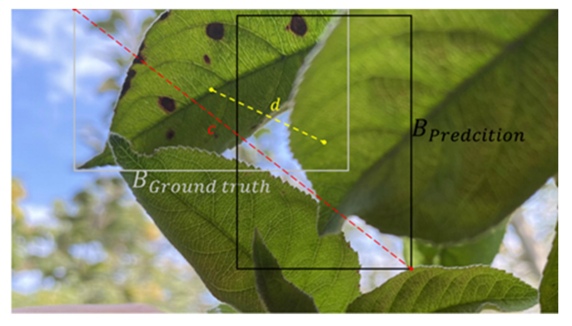 Agronomy 12 02363 g006 Agronomy 12 02363 g006