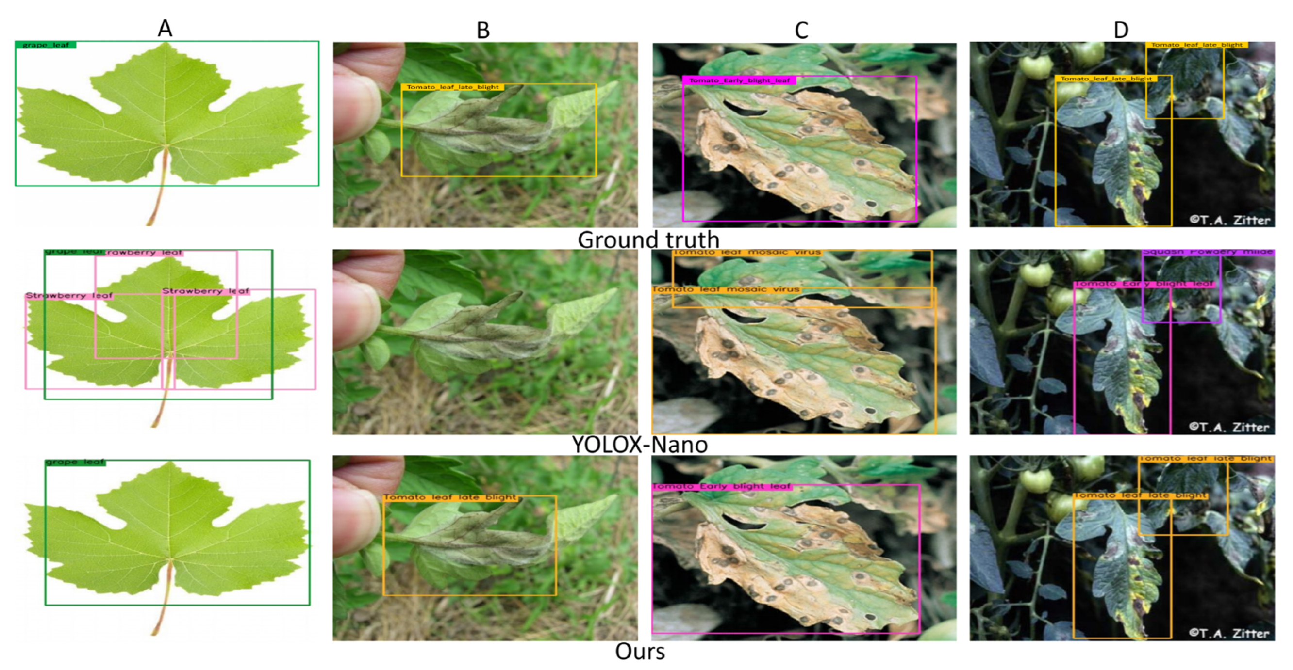 Agronomy 12 02363 g009 Agronomy 12 02363 g009