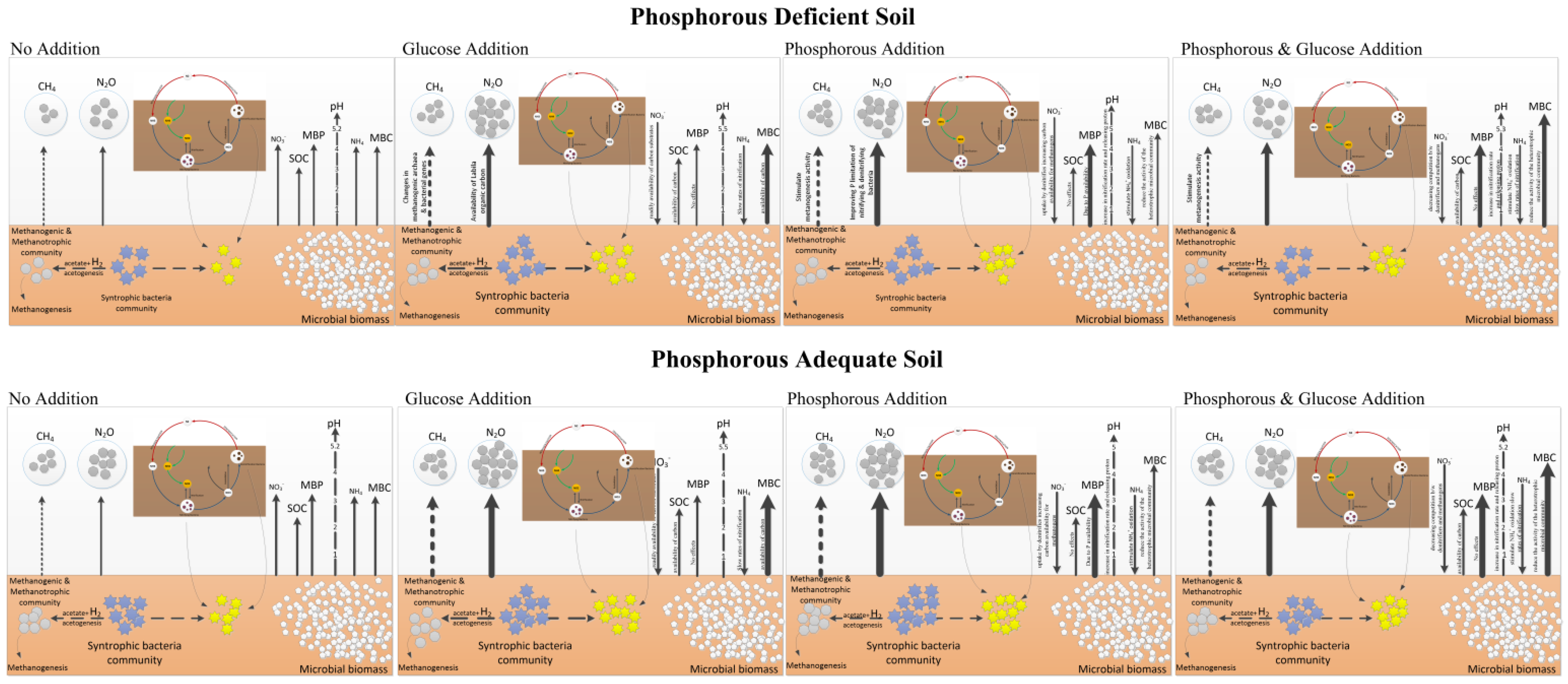 Agronomy 12 02368 g006 Agronomy 12 02368 g006