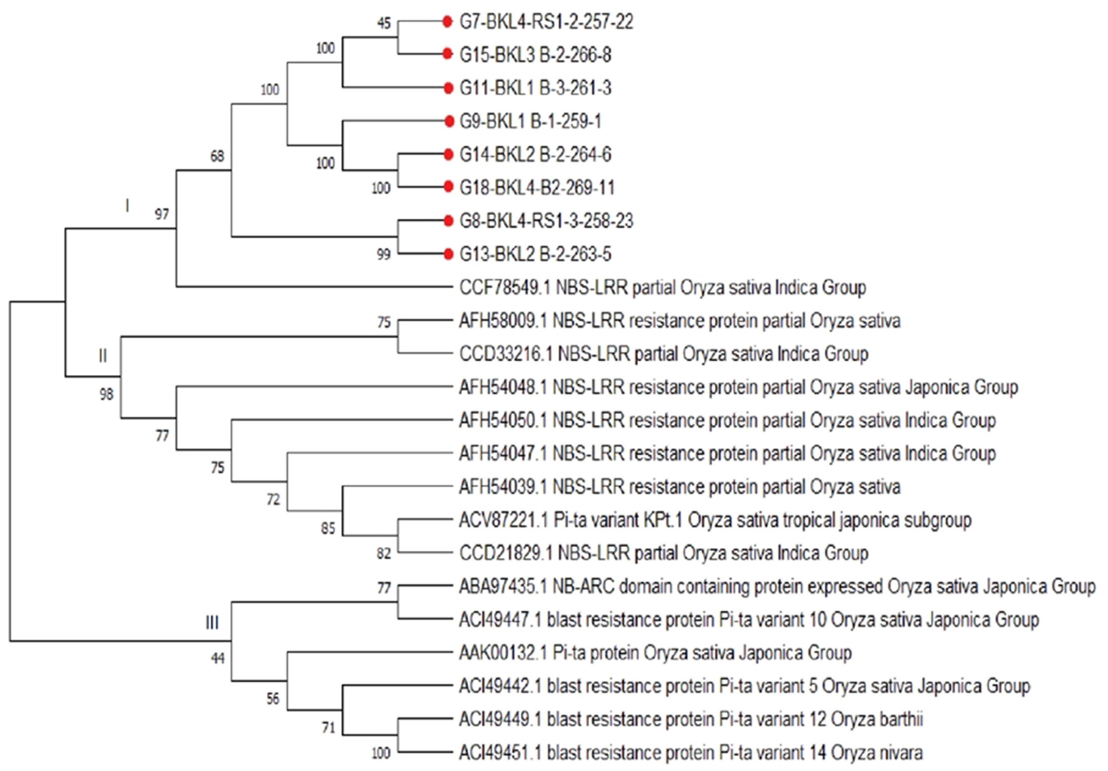 Agronomy 12 02373 g007 Agronomy 12 02373 g007
