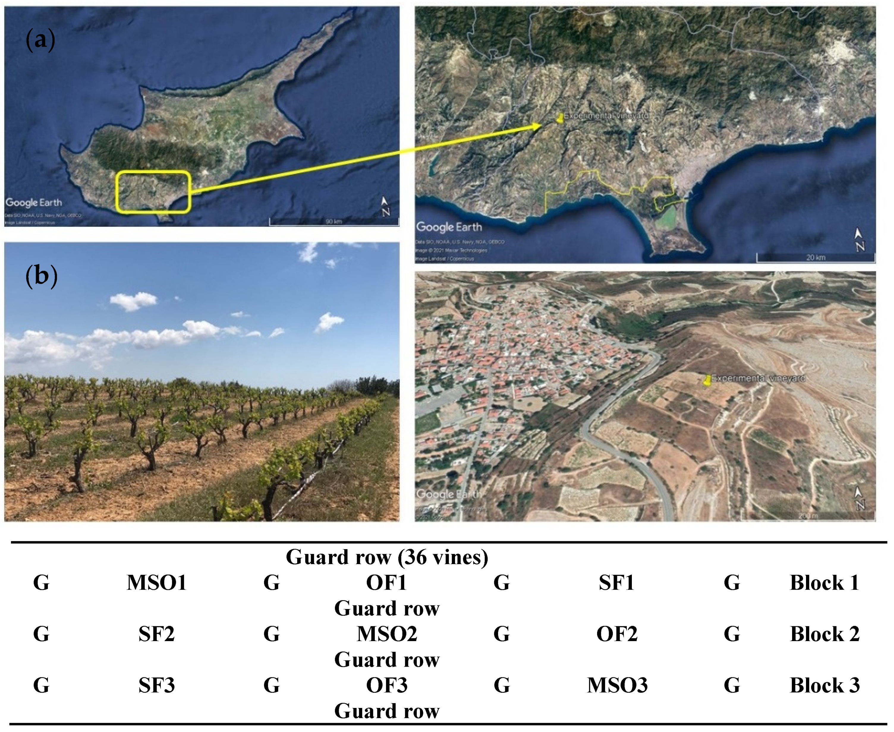 Agronomy 12 02375 g001