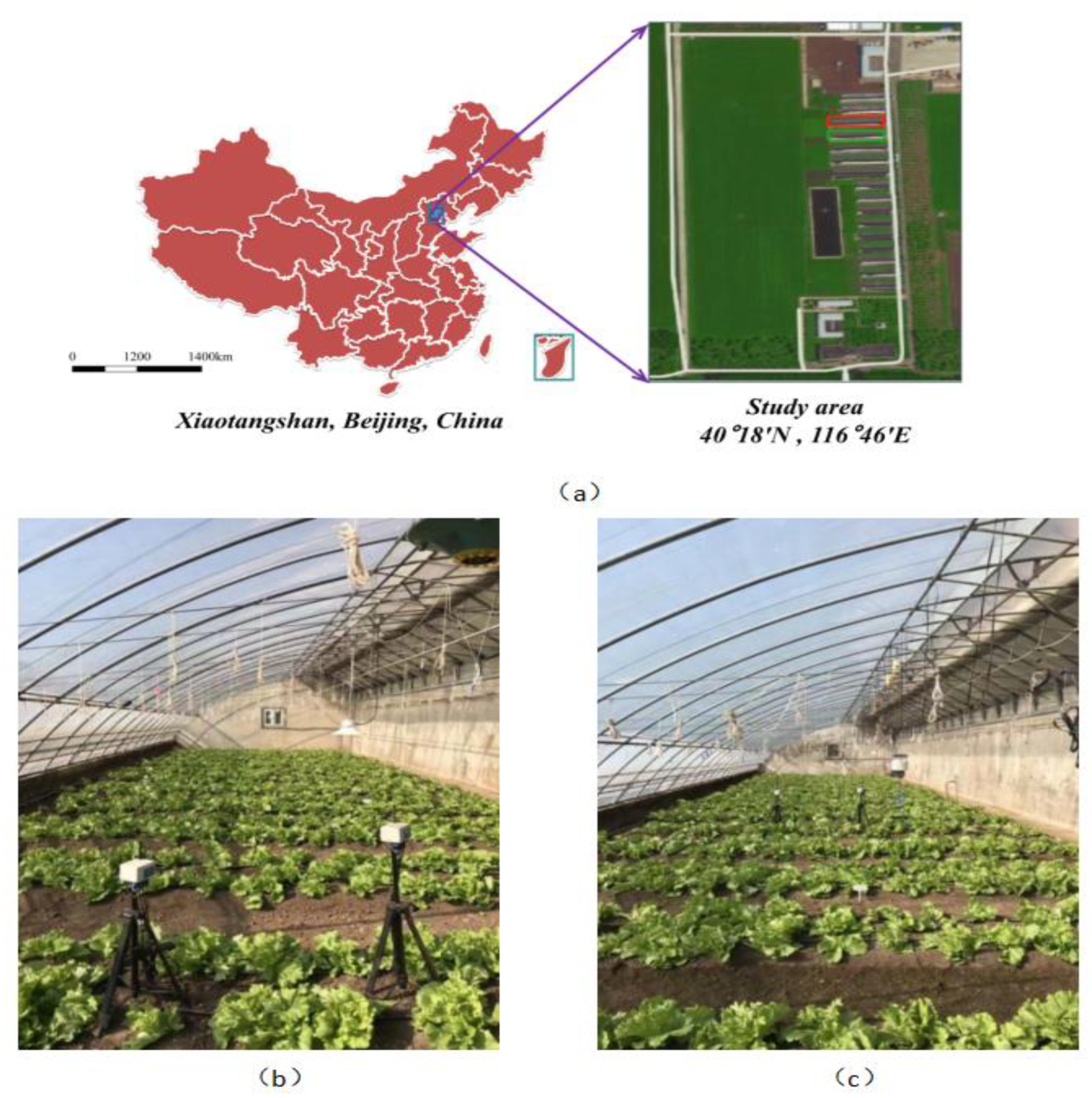 Agronomy 12 02391 g001