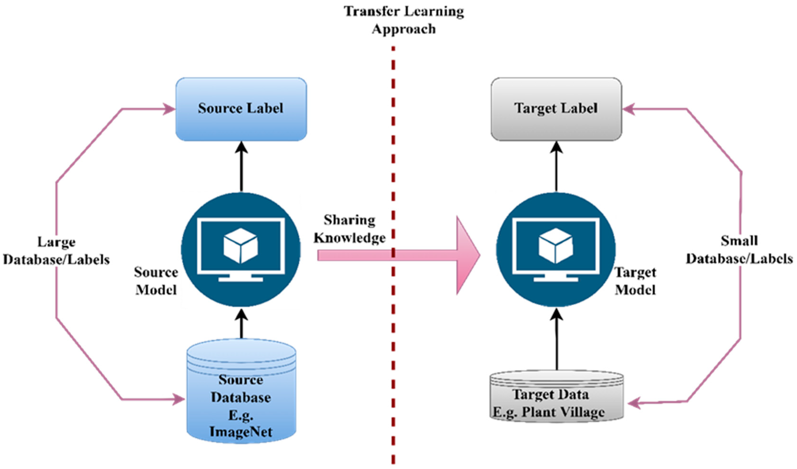 Agronomy 12 02395 g002