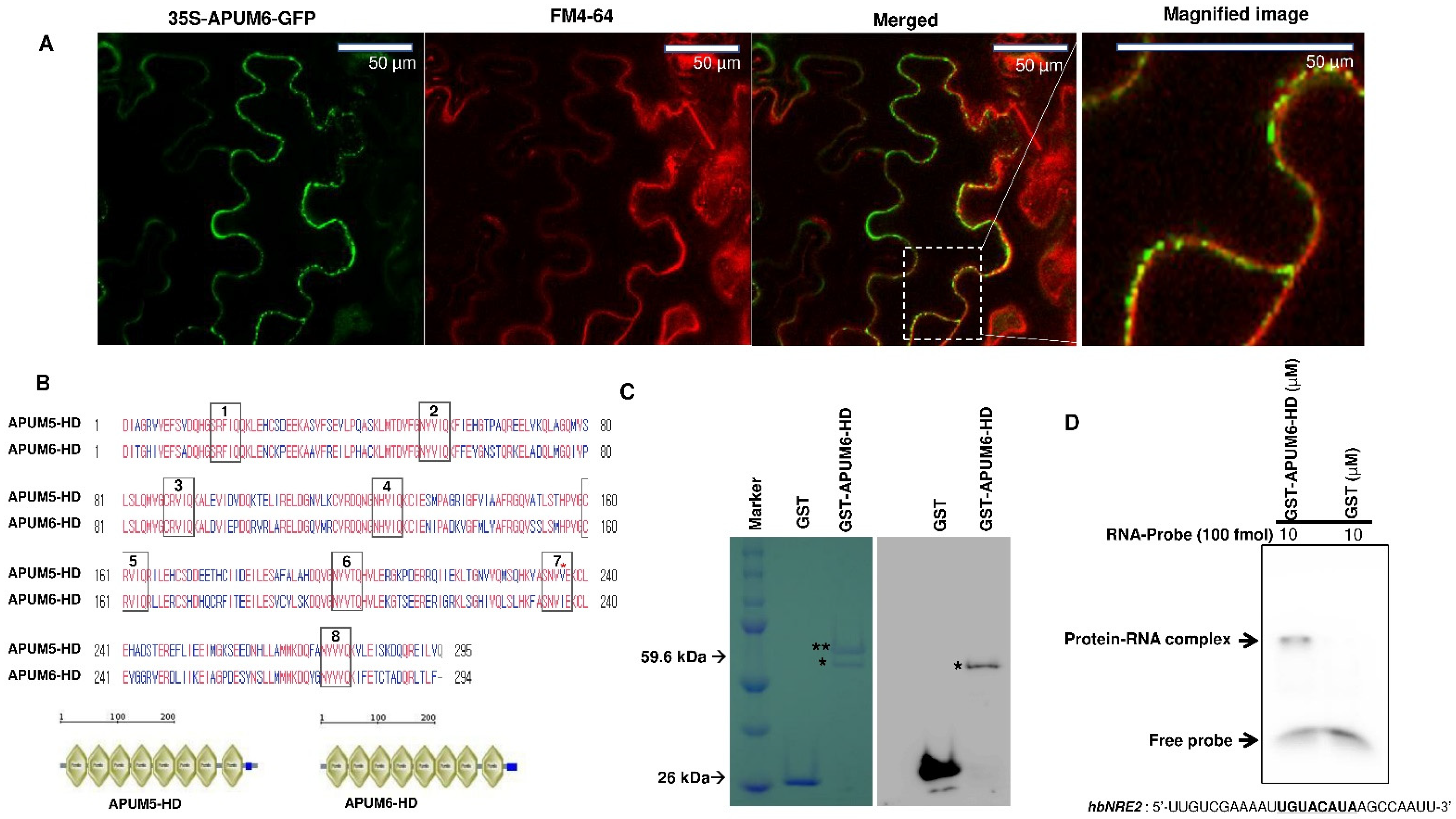 Agronomy 12 02410 g002 Agronomy 12 02410 g002