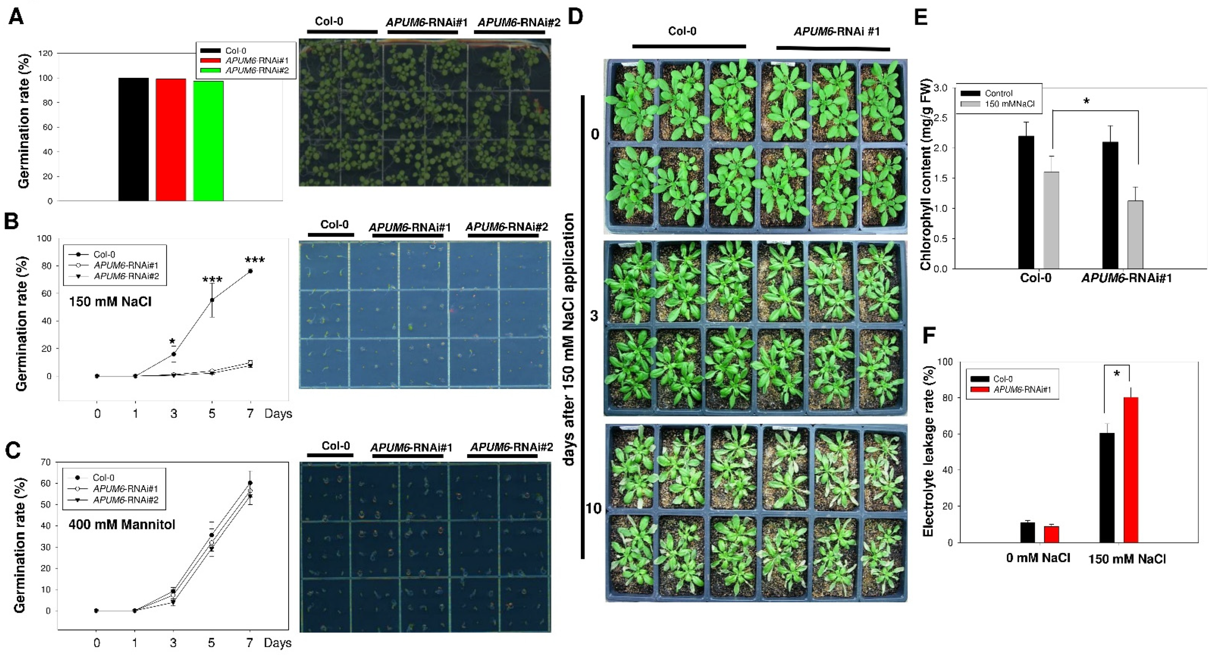 Agronomy 12 02410 g004 Agronomy 12 02410 g004