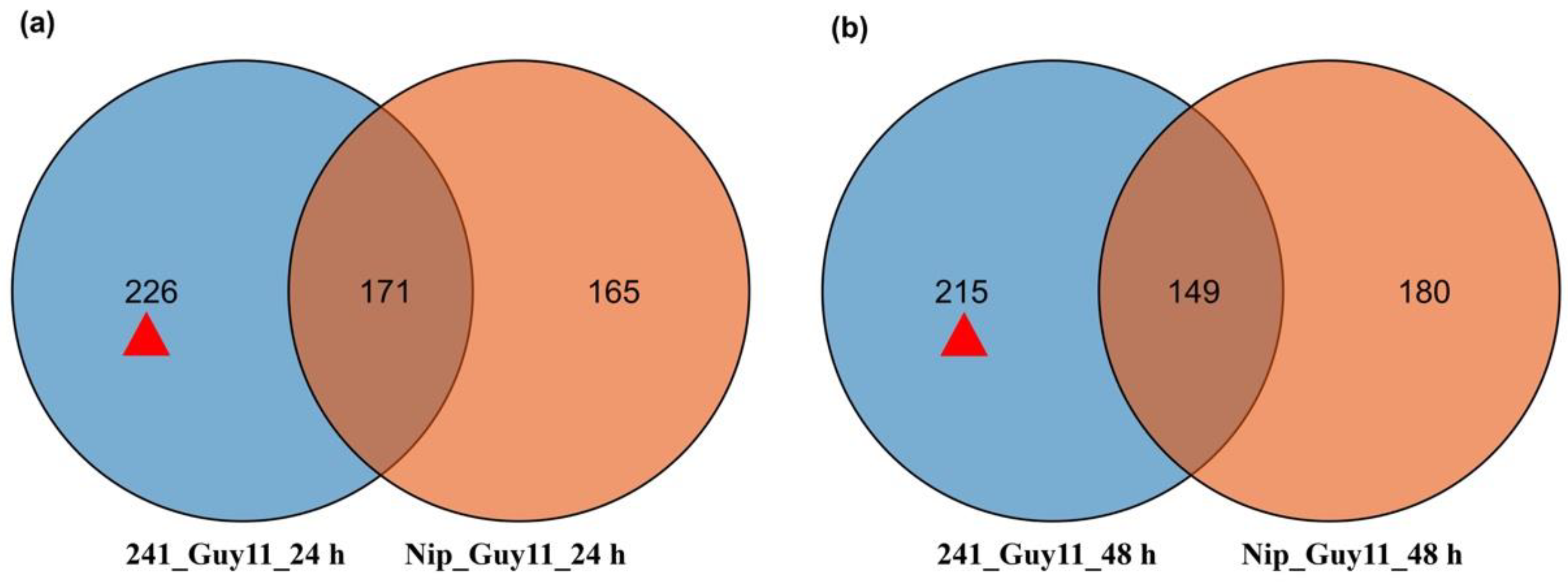 Agronomy 12 02414 g002