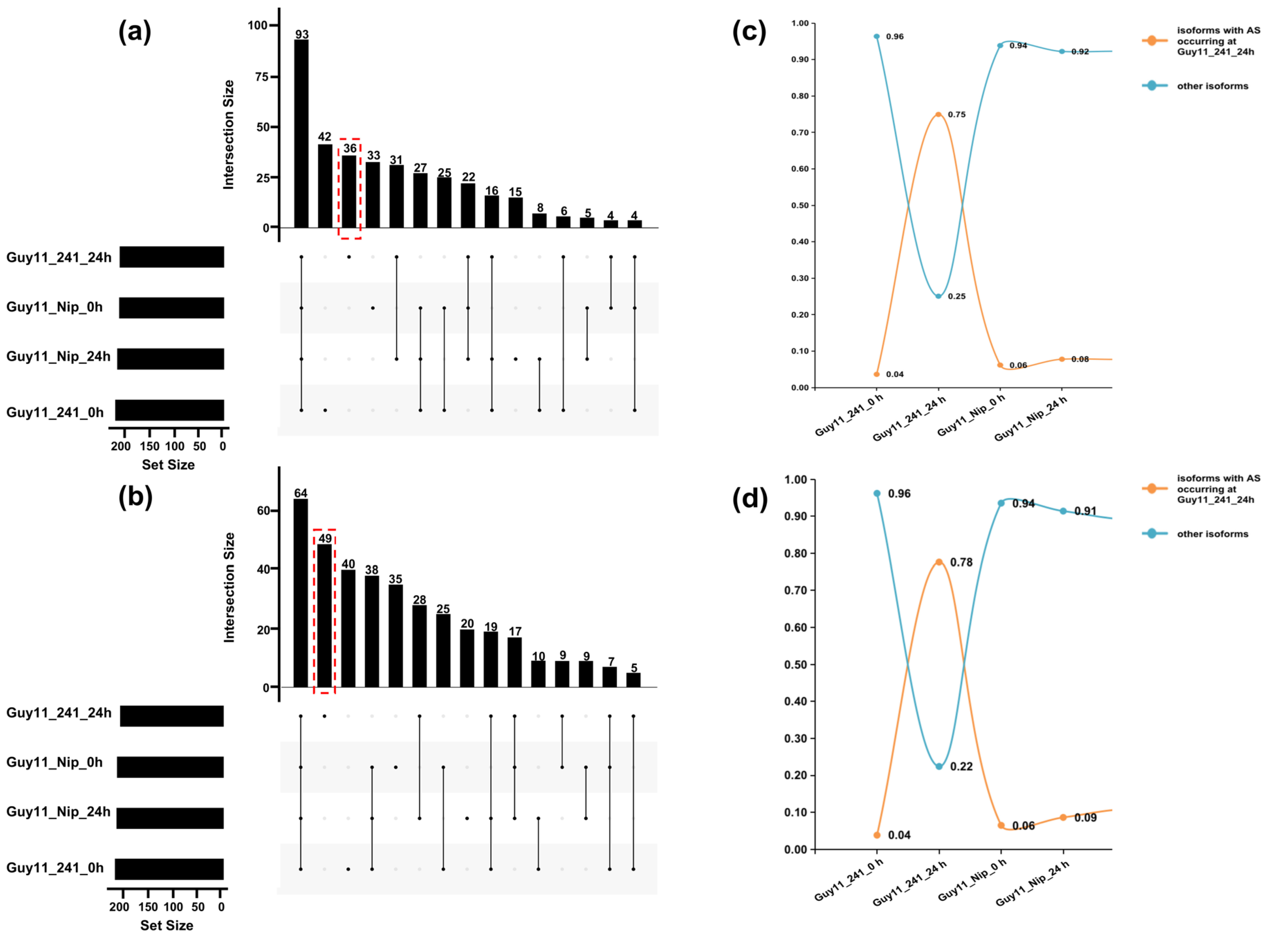 Agronomy 12 02414 g005