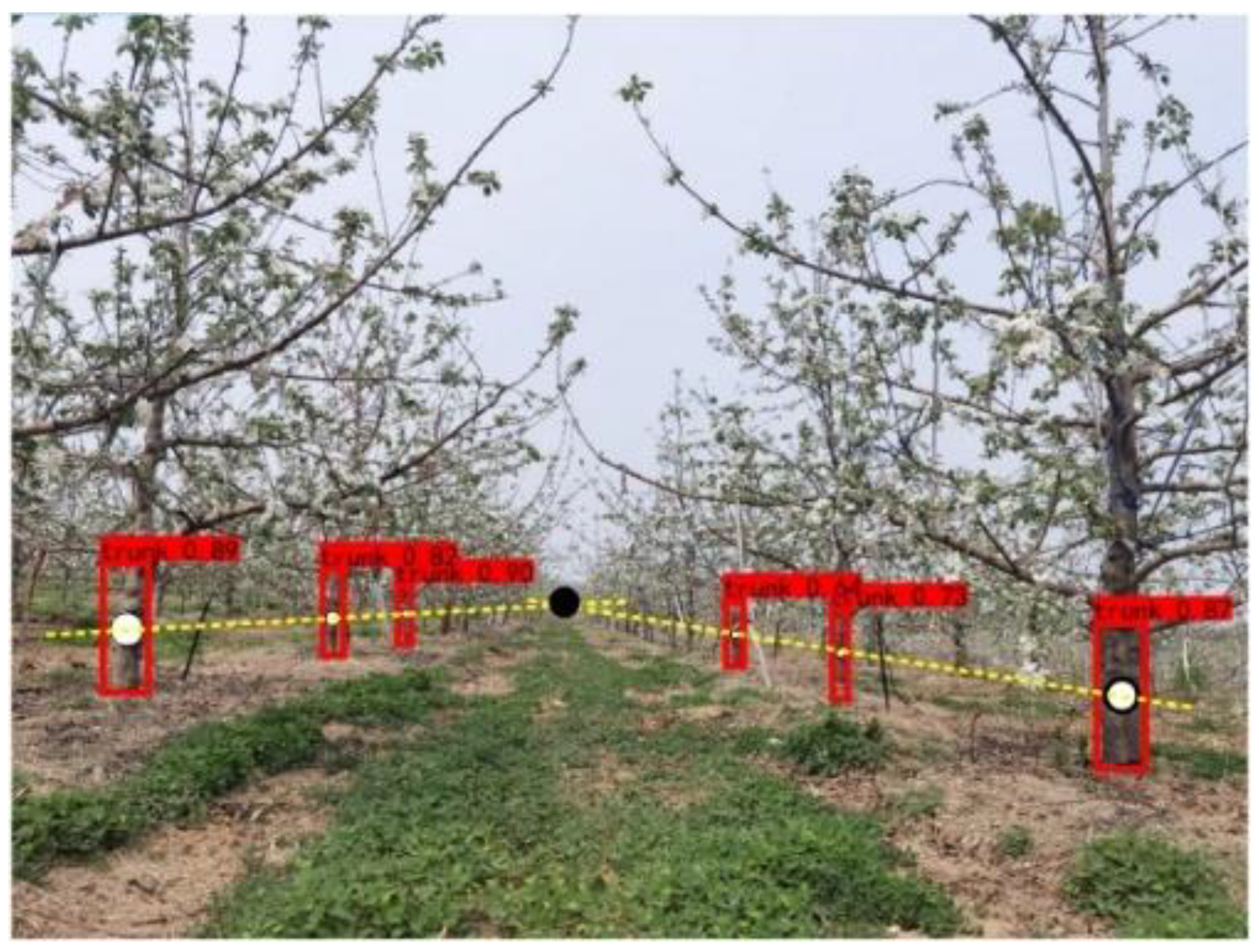 Agronomy 12 02427 g005 Agronomy 12 02427 g005