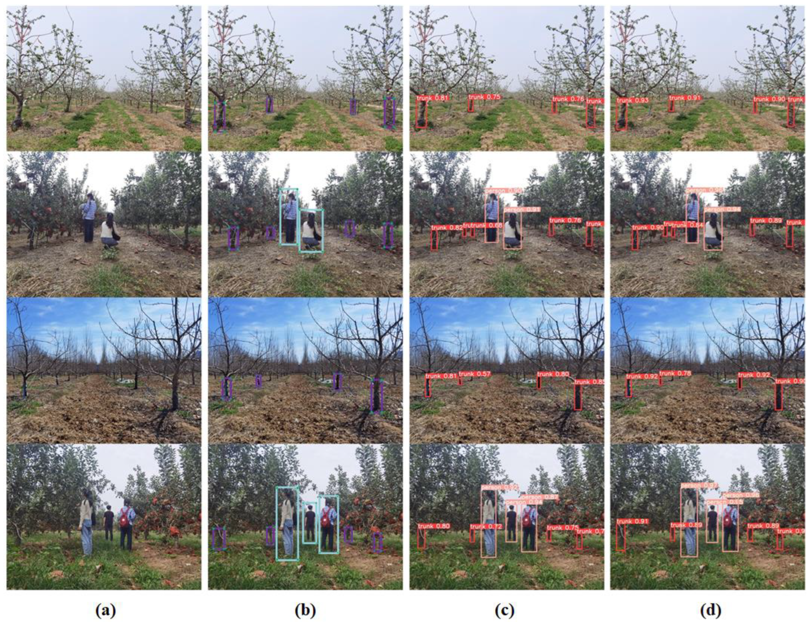 Agronomy 12 02427 g008 Agronomy 12 02427 g008