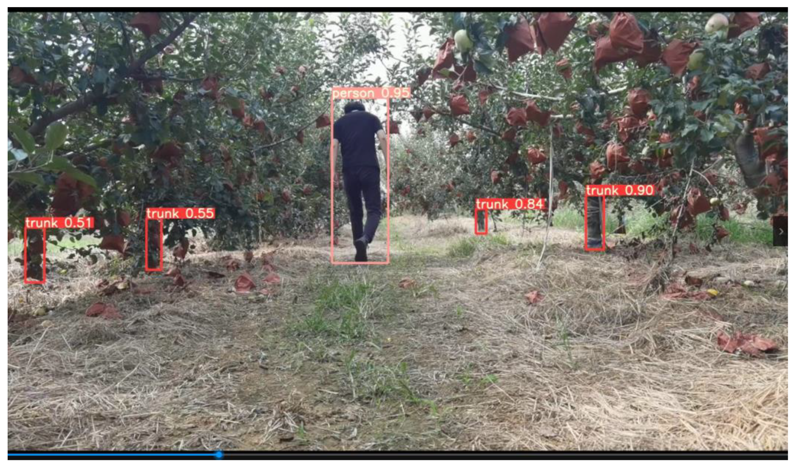 Agronomy 12 02427 g013 Agronomy 12 02427 g013