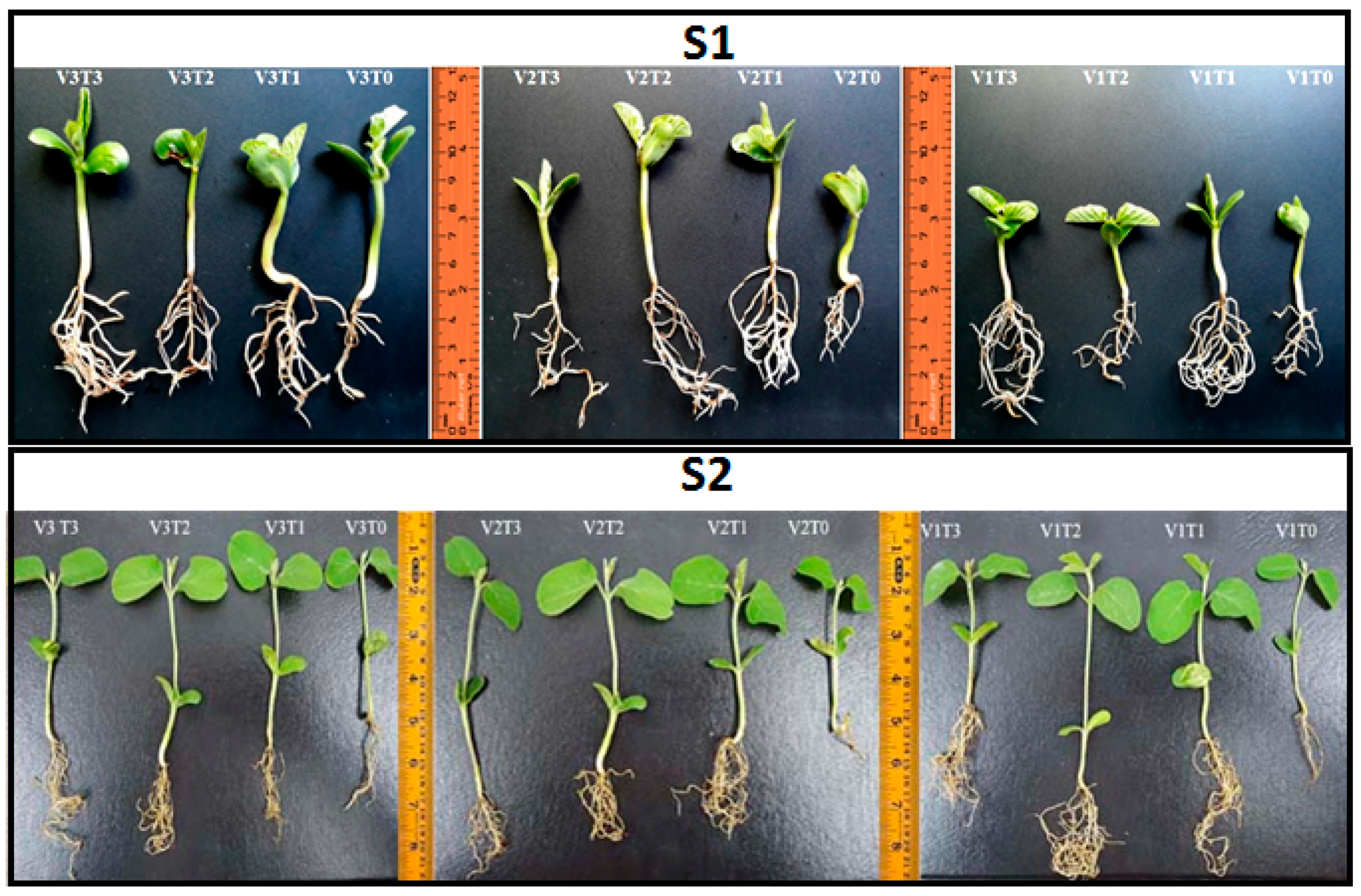 Agronomy 12 02446 g001 Agronomy 12 02446 g001
