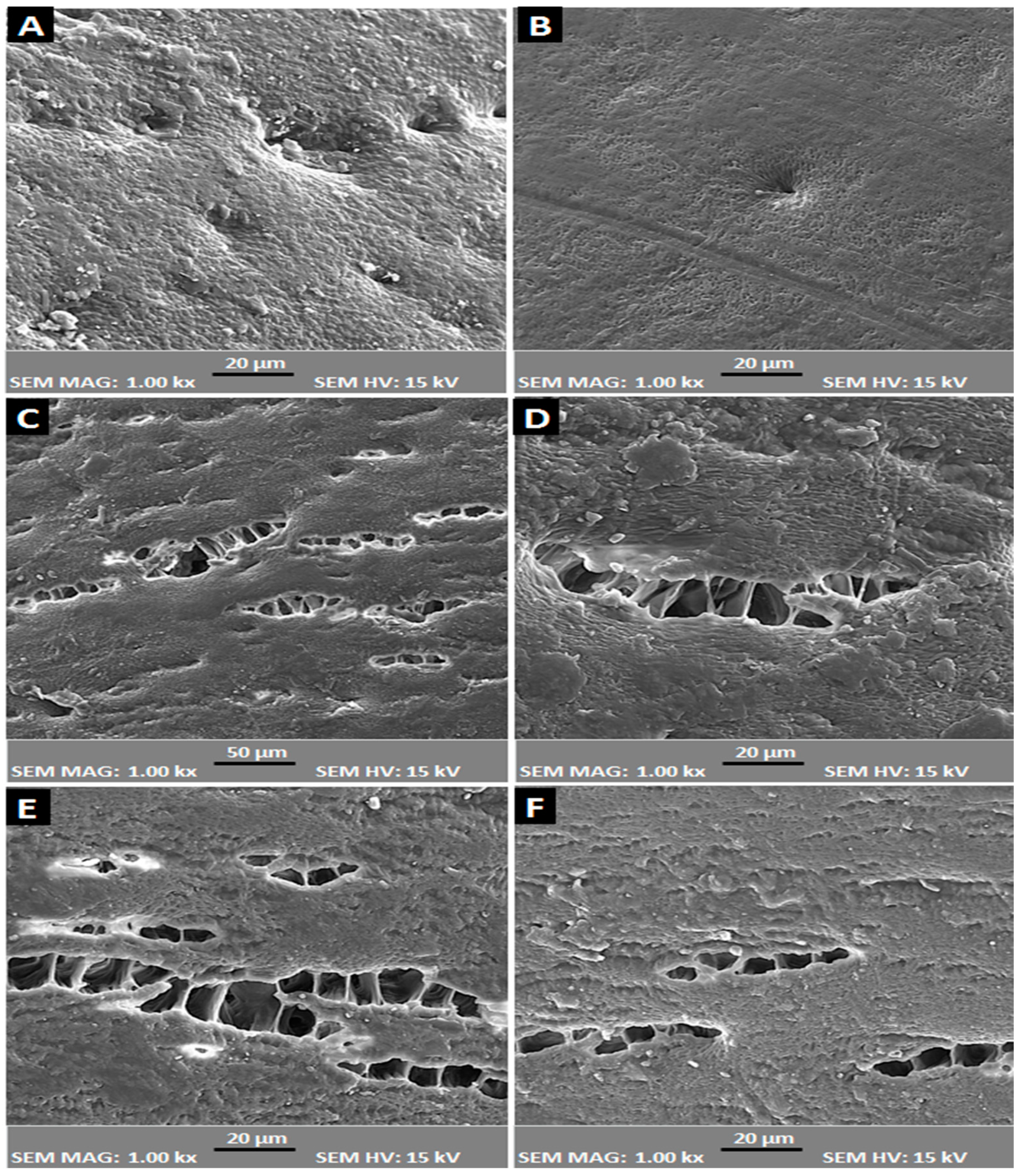 Agronomy 12 02446 g004 Agronomy 12 02446 g004