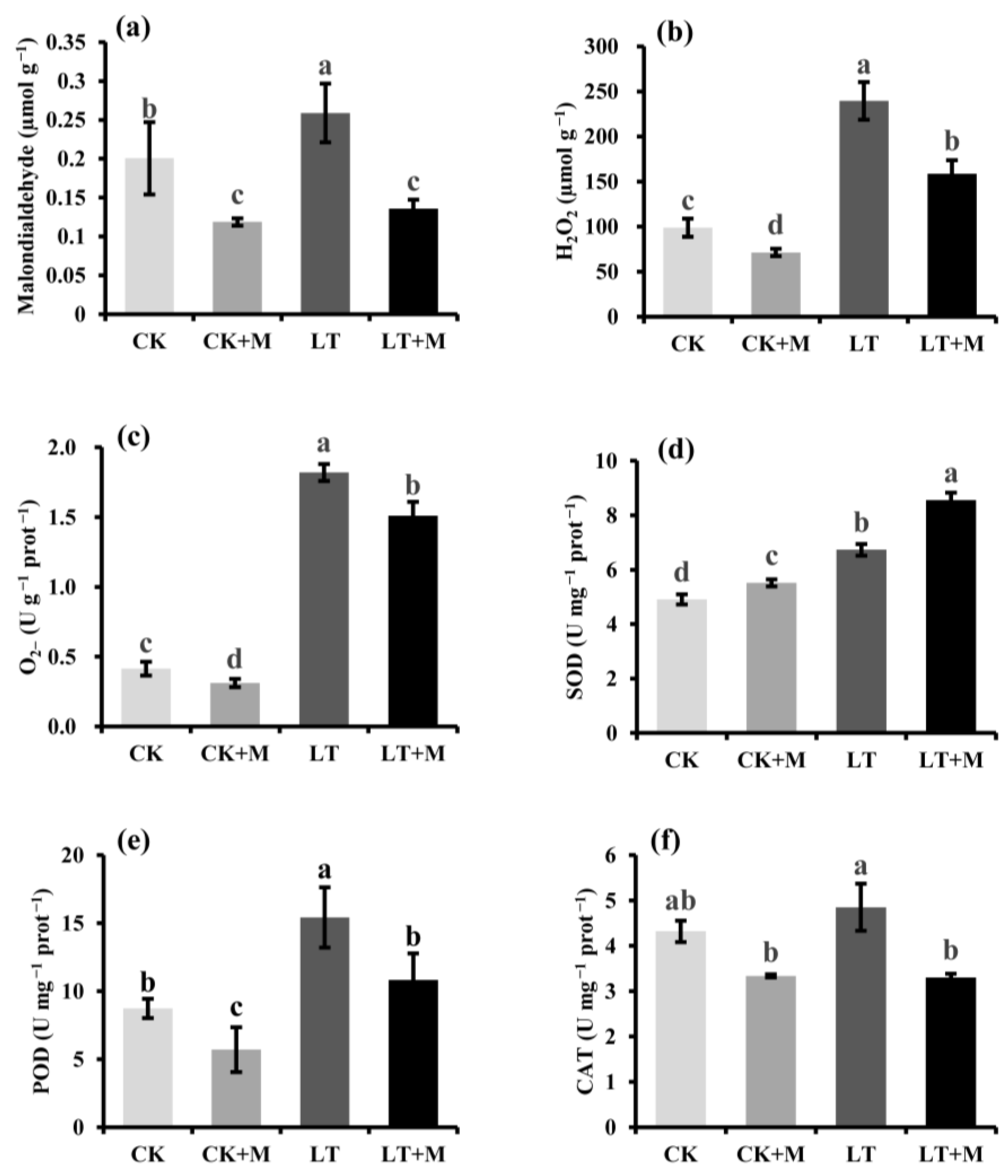 Agronomy 12 02453 g004