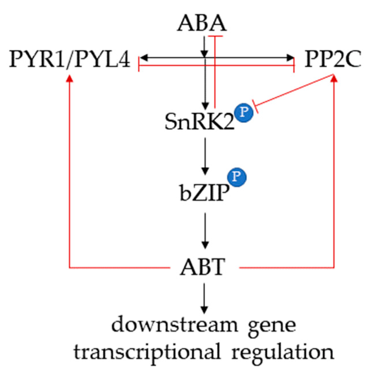 Agronomy 12 02454 g002 Agronomy 12 02454 g002