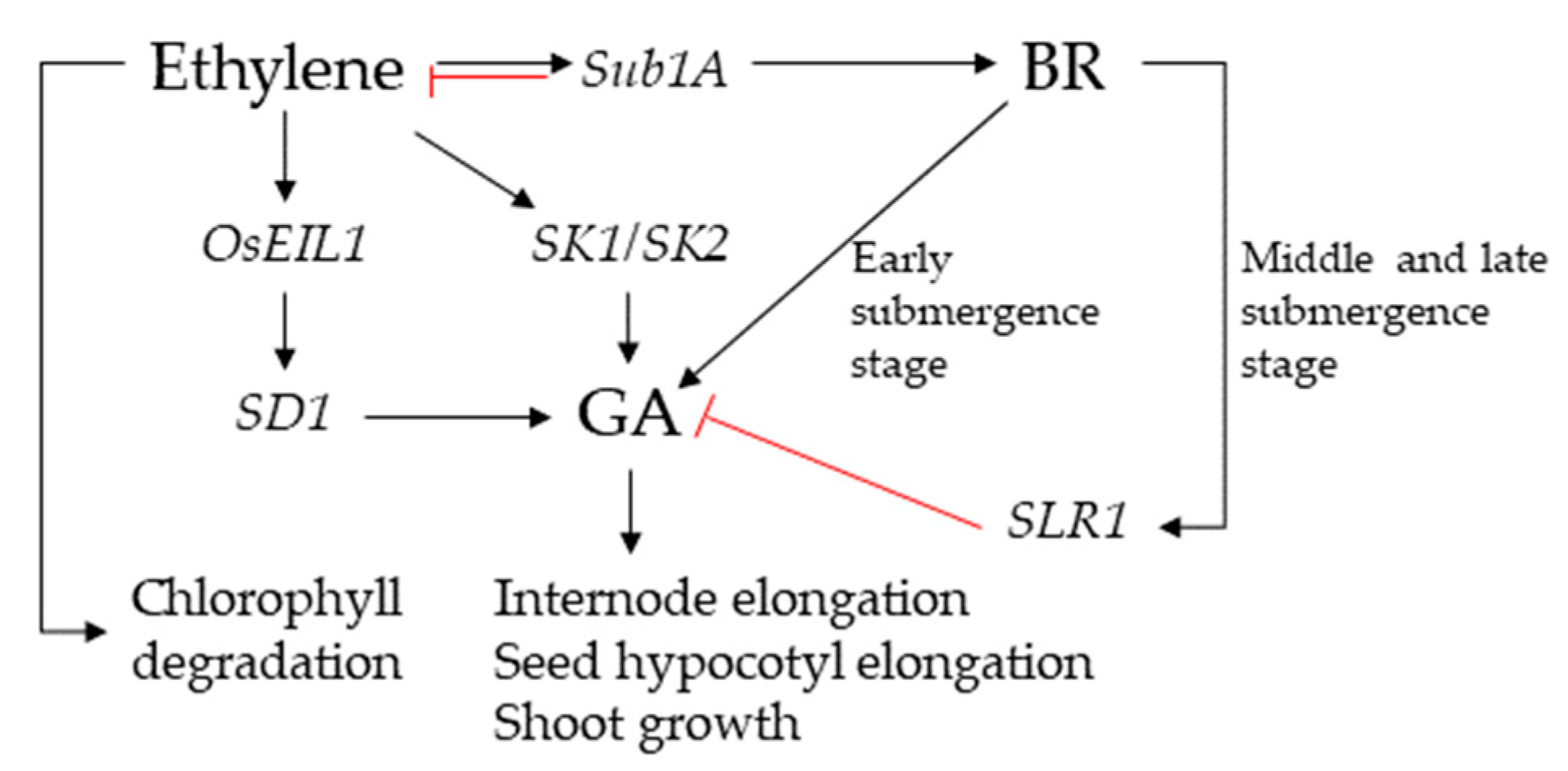 Agronomy 12 02454 g005 Agronomy 12 02454 g005