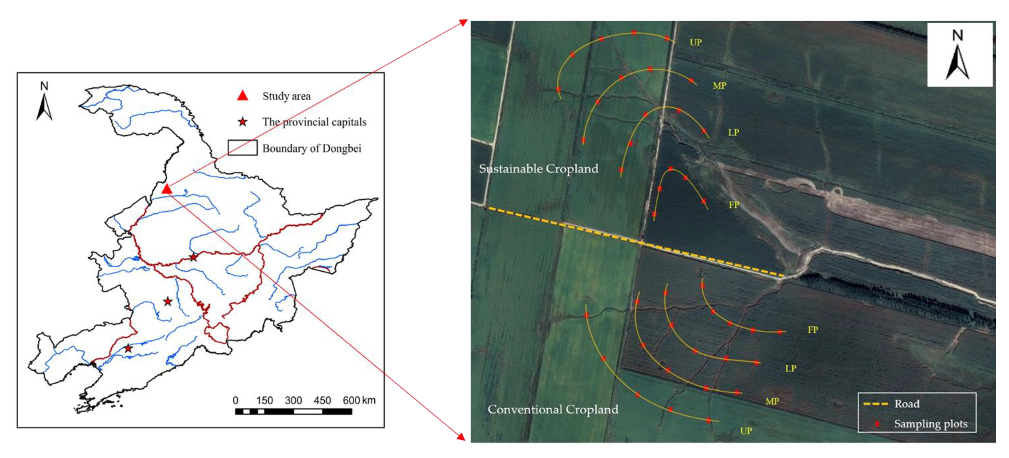 Agronomy 12 02457 g001 Agronomy 12 02457 g001